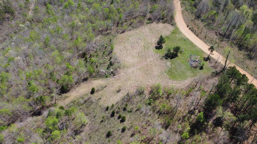 28± Acres Near the Buffalo River – Prime Hunting & Cabin Retreat Opportunity. Escape to the natural beauty of the Ozarks with this 28± acre tract located in Harriet, Arkansas. With county road frontage and electric available at the road, this property offers both accessibility and convenience while maintaining the privacy and seclusion you’re looking for. Just minutes from the breathtaking Buffalo National River and only 2.2 miles from Loafer’s Glory Wildlife Management Area, this land is perfectly positioned for outdoor enthusiasts. Whether you enjoy hunting, fishing, kayaking, or simply exploring the great outdoors, you’ll be surrounded by some of Arkansas’ finest recreational opportunities. The property features some suitable building sites ideal for a cabin, weekend getaway, or permanent residence. There’s ample space to establish your own food plots, attract wildlife, and create a customized hunting setup. Whitetail deer, turkey, and other native game are common in the area, making this a strong candidate for a private hunting retreat. Start your Ozark dream, come enjoy the peace and tranquility.