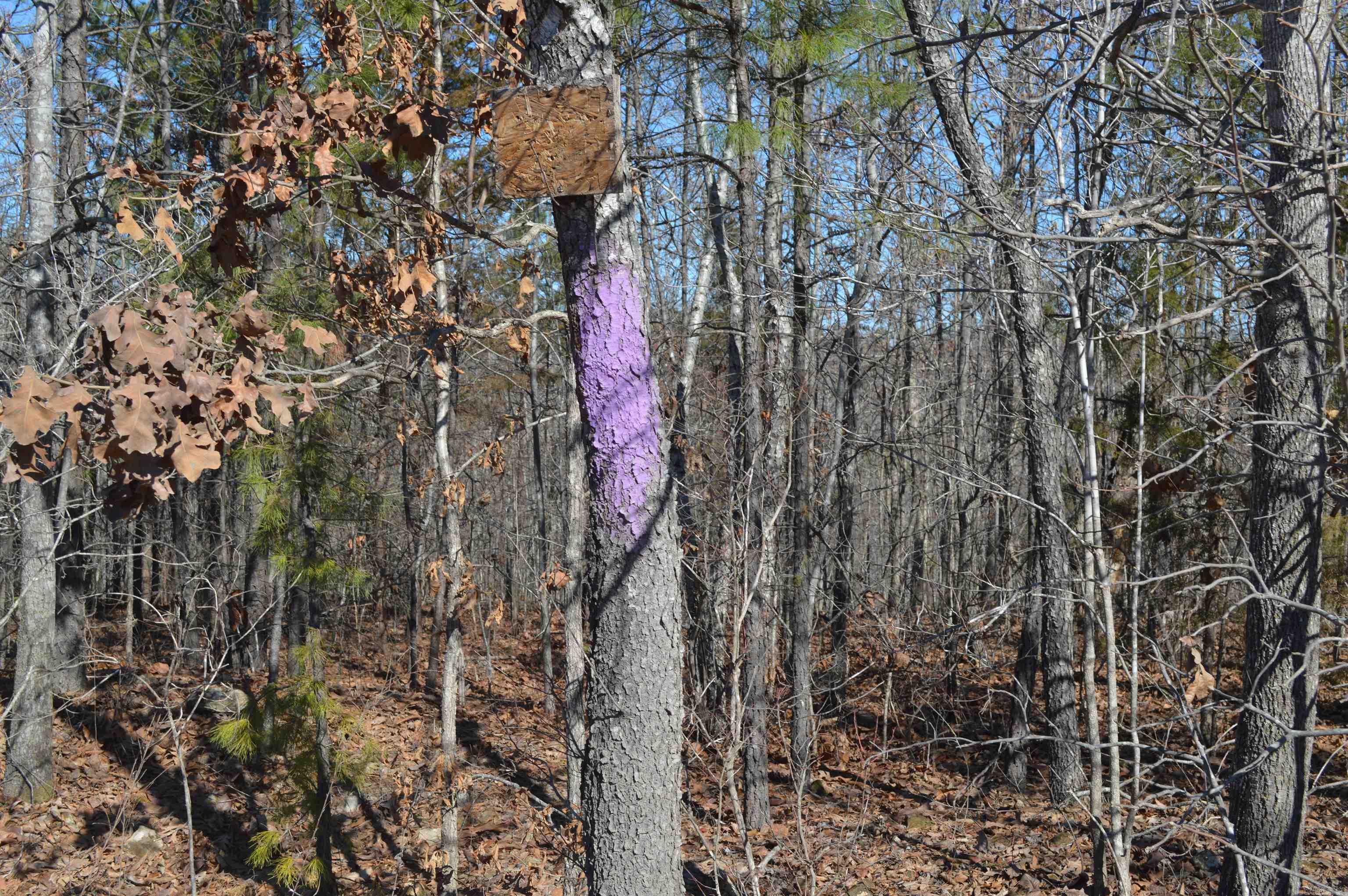 Metes & Bounds - Land