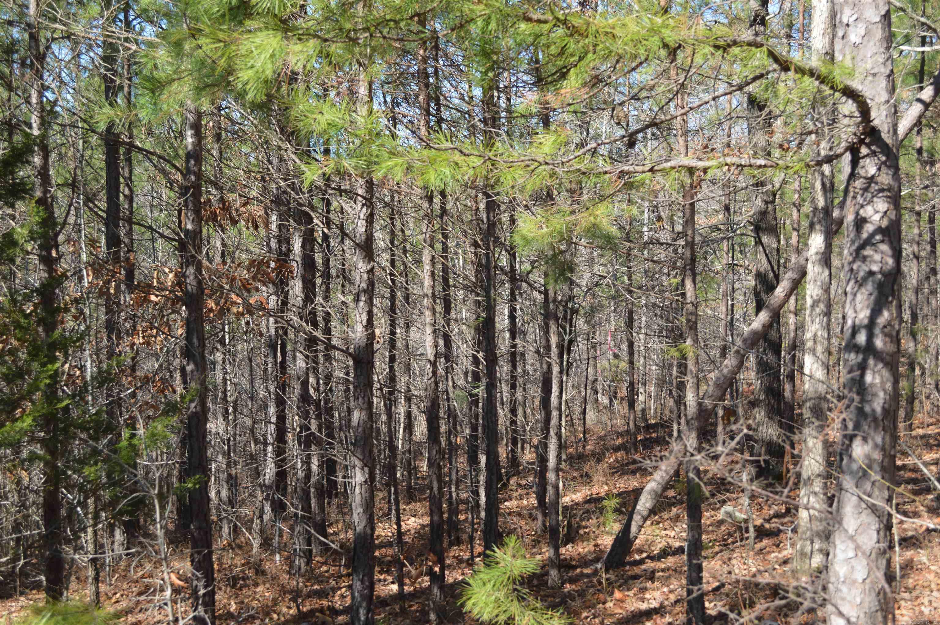 Metes & Bounds - Land