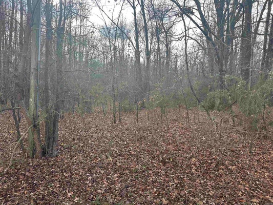 44 BROADMOOR CIR, CABOT, AR 72023 - Image 09afd9be7045bd49e7cf65c685f24aa2/2156611787