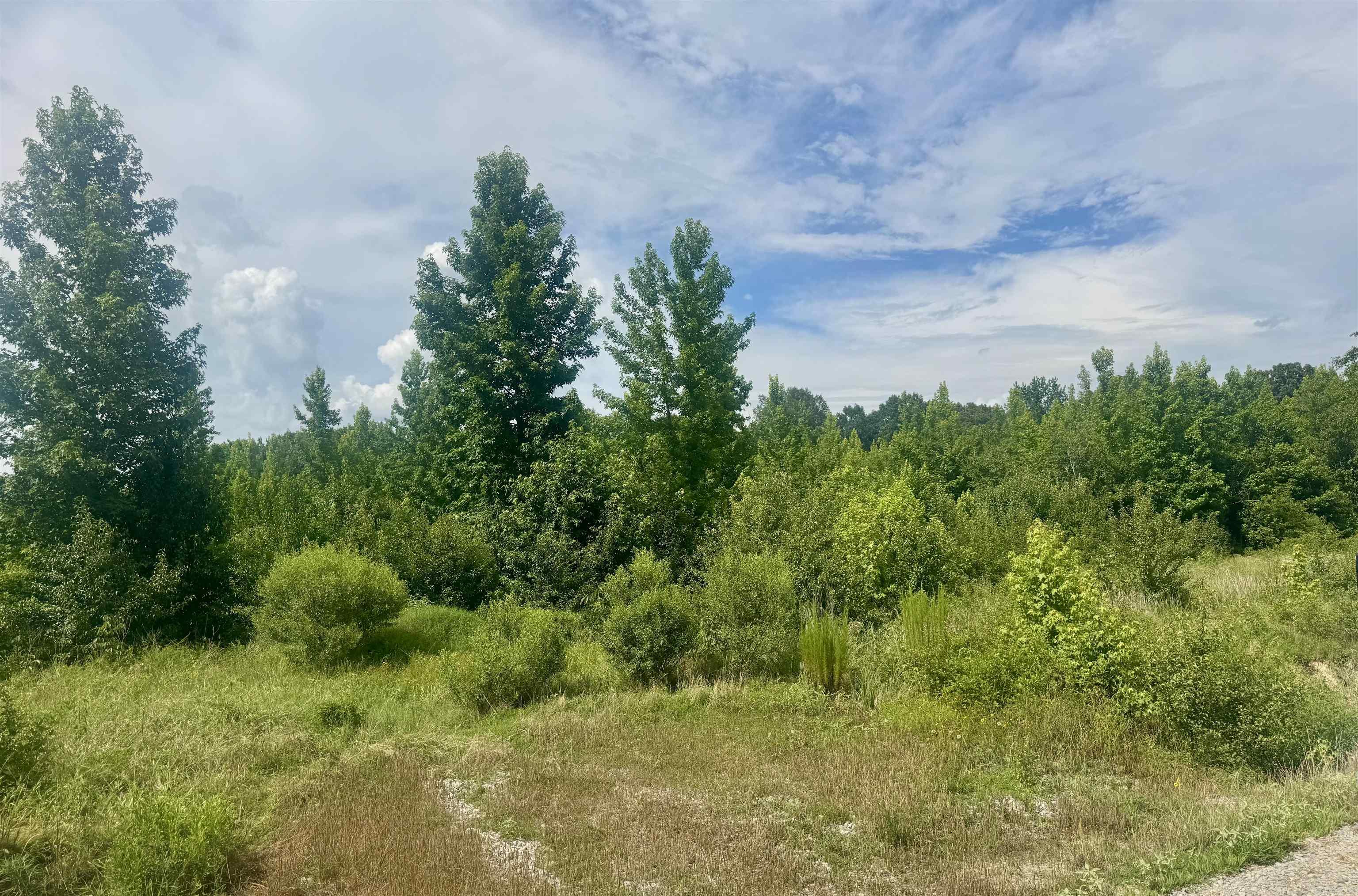 35 acre +/- tract of land not far from town amenities! Located off the beaten path, the land features a diverse mix of mature hardwoods creating a natural habitat rich with wildlife, including deer, turkey, and small game. Natural clearings provide multiple potential sites for food plots, blinds, or even your dream cabin in the woods. Half a mile from the entrance of the Cypress Bayou/ Red cut unit. Beebe schools and at edge of city limits.