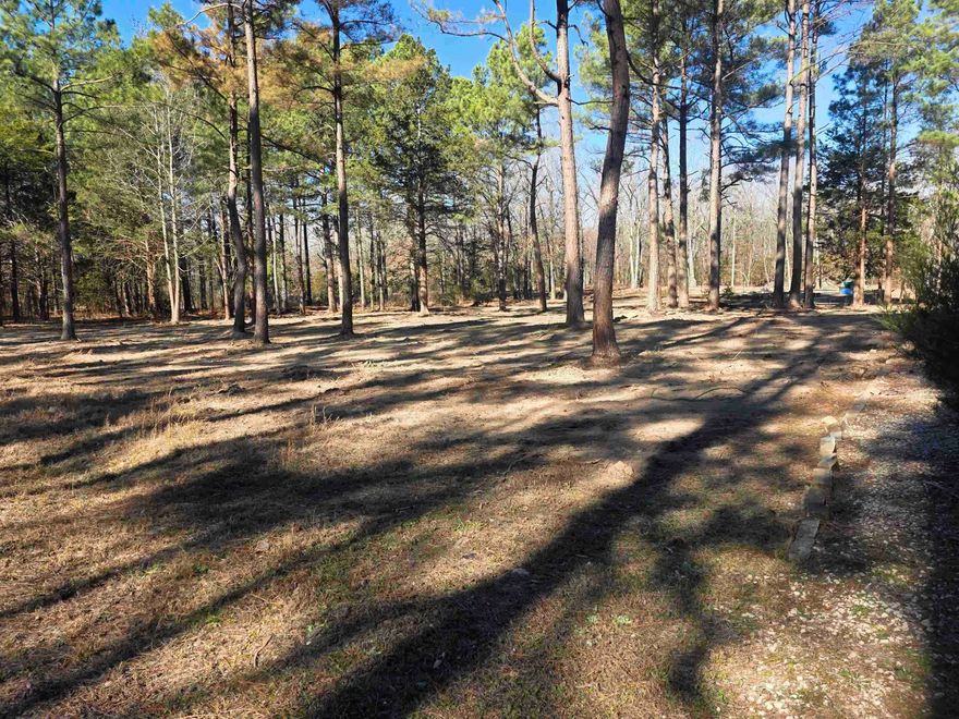 Lots near 22 Tonsue Dr in Cherokee Village