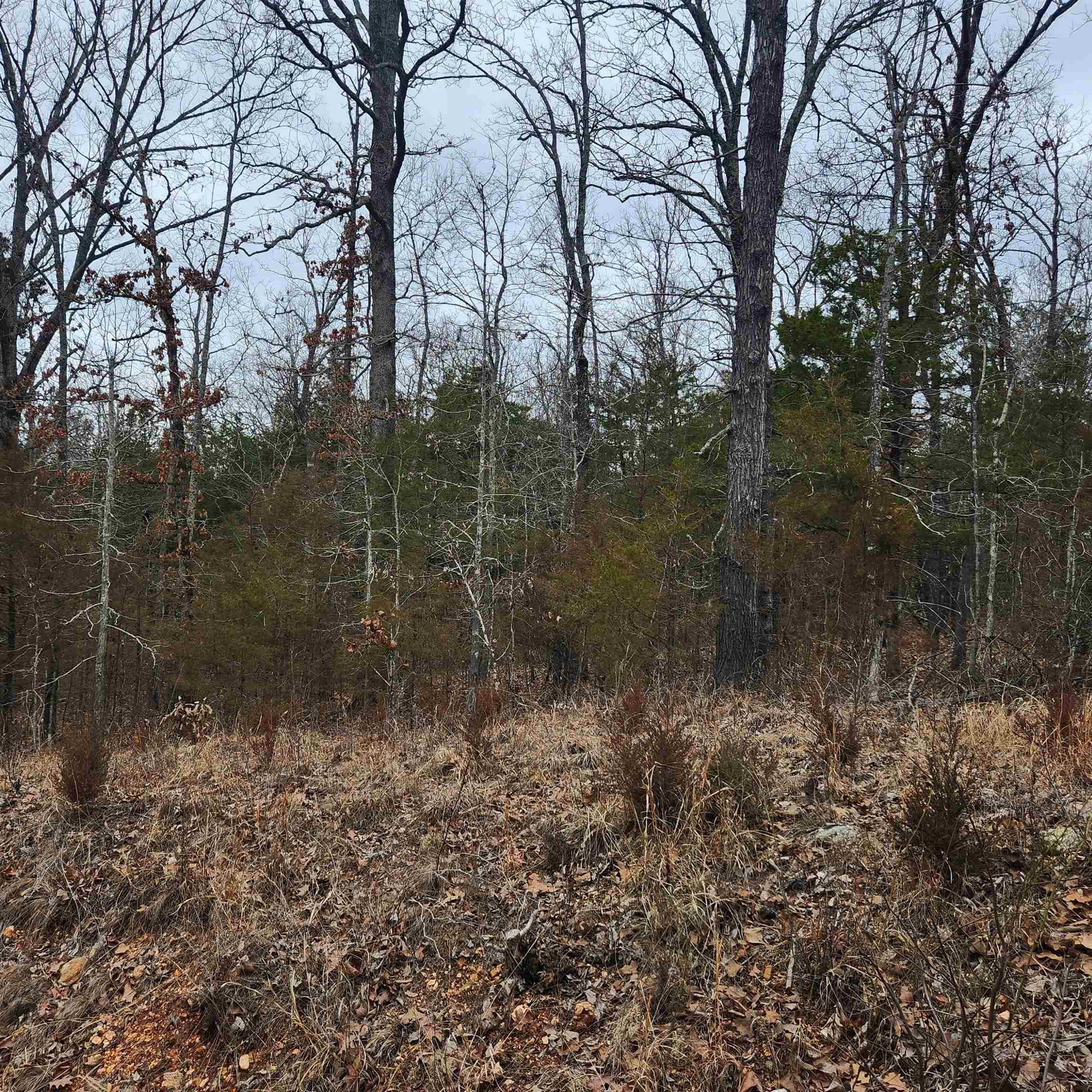 Hiawatha First - Land