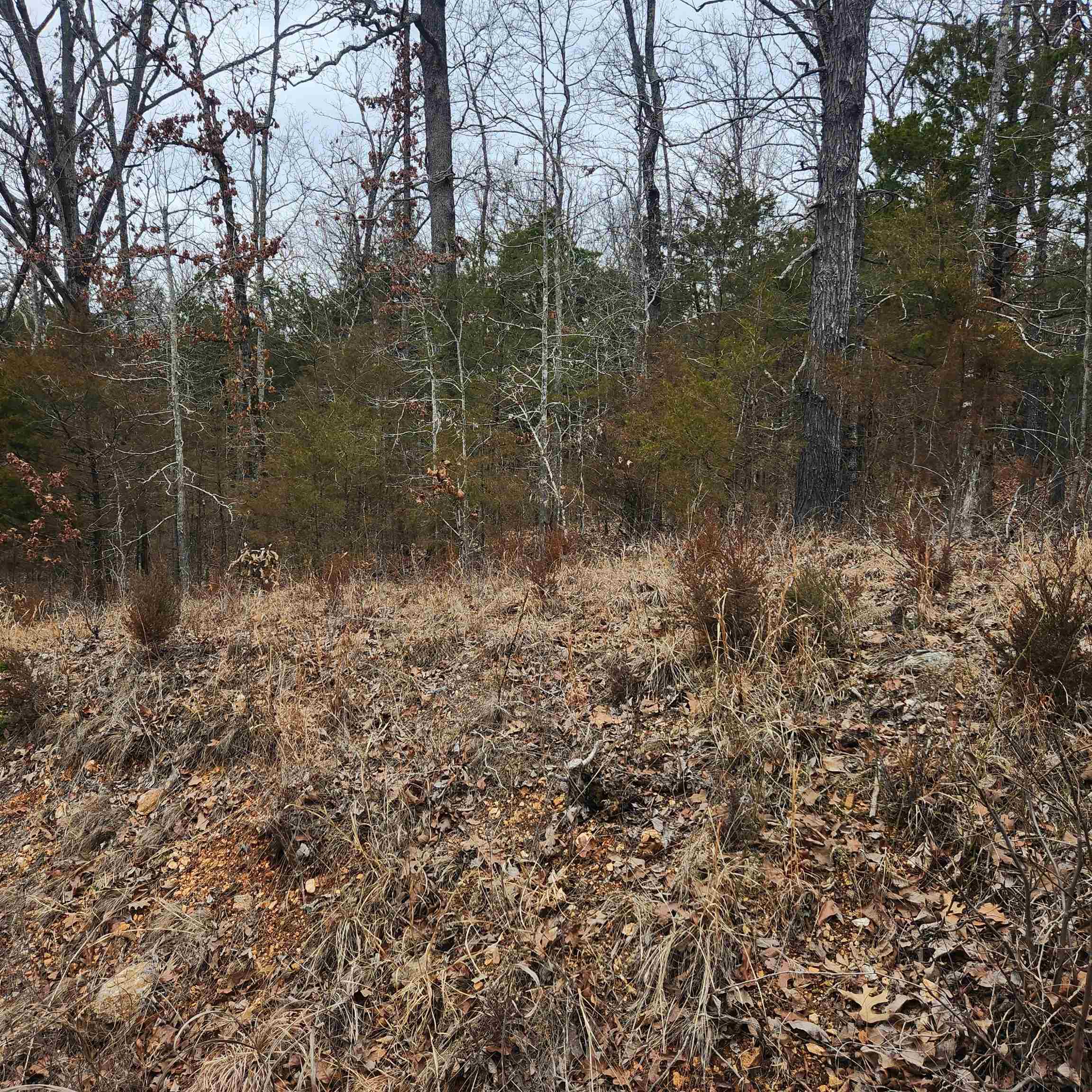 Hiawatha First - Land