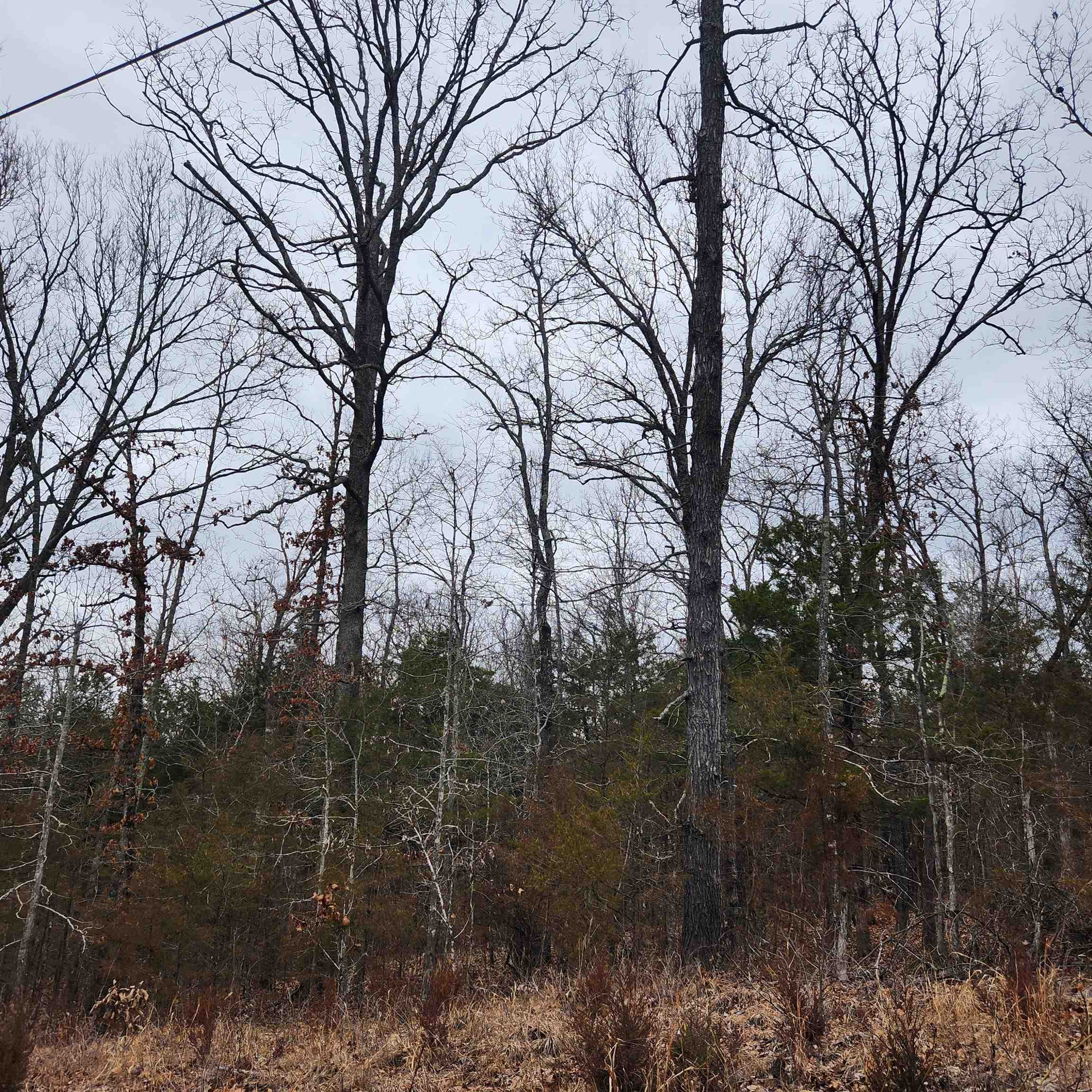 Hiawatha First - Land