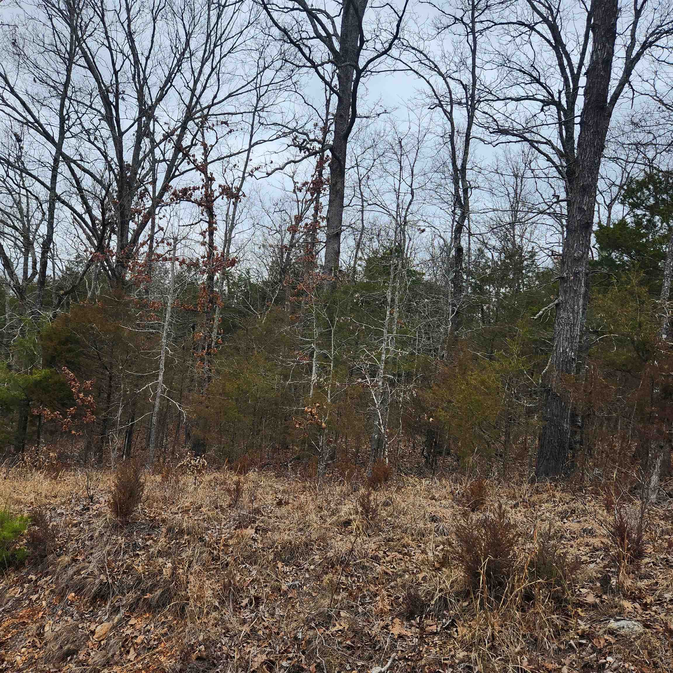 Great Lot in a great location. Secluded lot with no real close neighbors. Barely over 1/2 a mile to the Town Center and walking/nature trail as well as Papoose Park and the Lake Cherokee waterfall. This wooded and mostly level lot is on a hillside that backs up to the Southfork river and Spur 175. This lot is only 3/4's of a mile to the Flathead drive access to the Southfork River and its nature/walking trail. only 1/4 mile to Star Falls lookout and less than 1 mile to the Griffin Road Bridge on the Southfork river. This would be a great location to build your new forever home or weekend cabin. Come pick your spot.