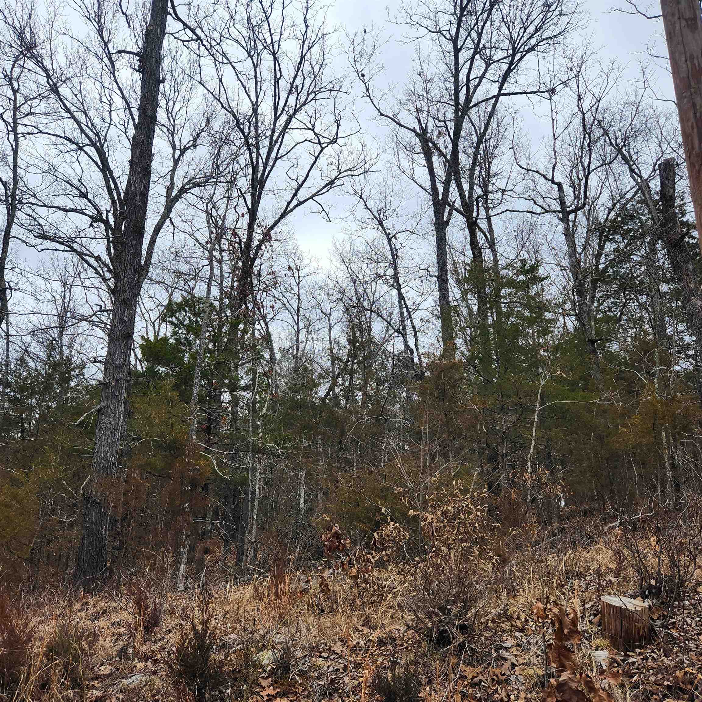 Hiawatha First - Land