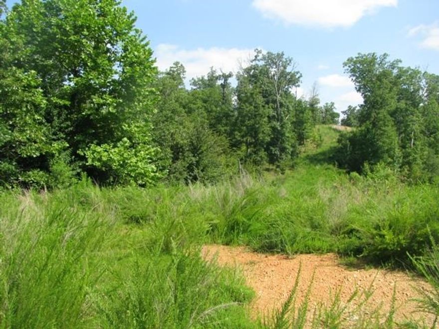 This is a very pretty home site if you love country living, this is the place for you.  Seller has septic permit, survey in file.