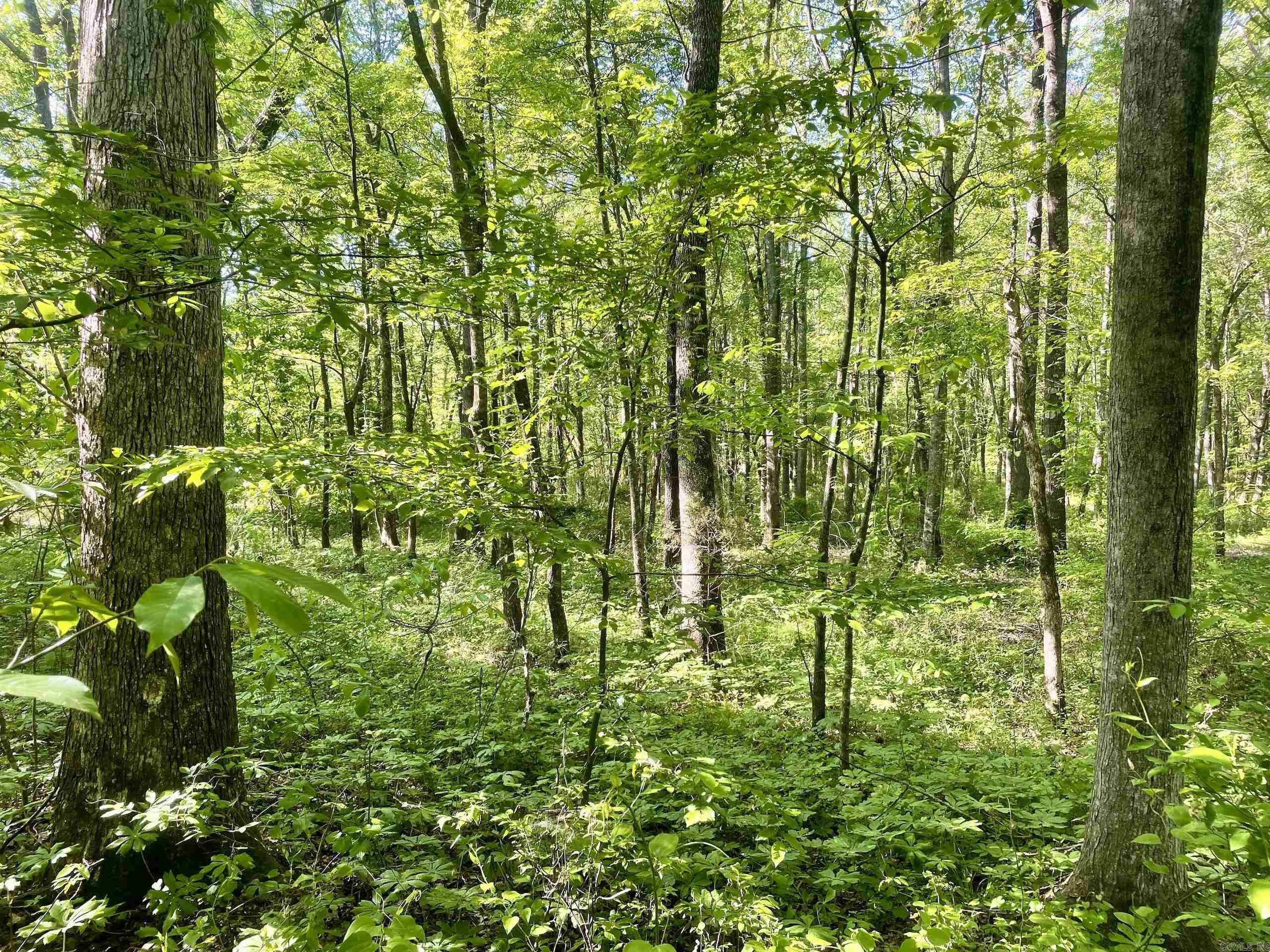 Not in Subdivision - Land