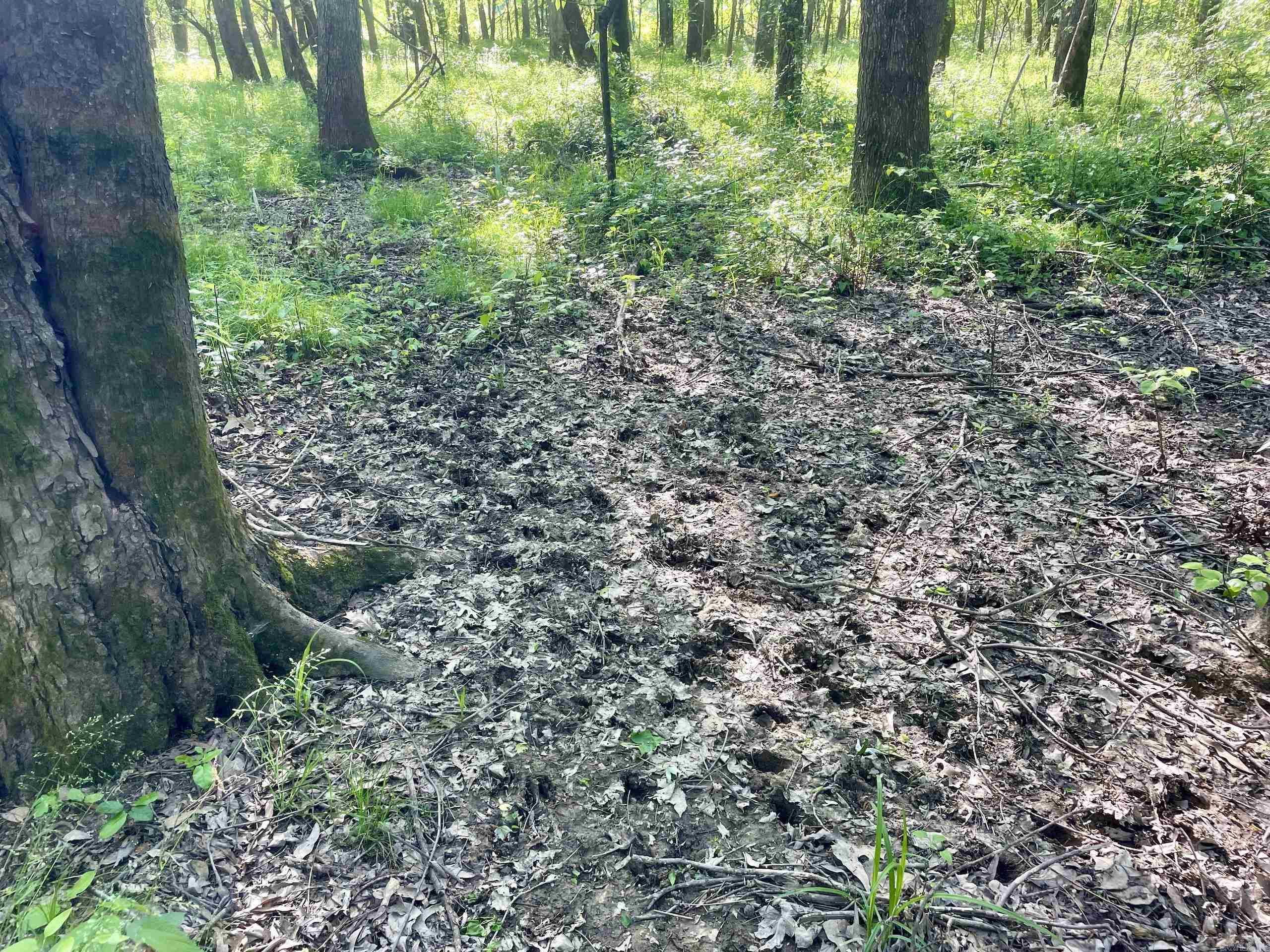 Not in Subdivision - Land