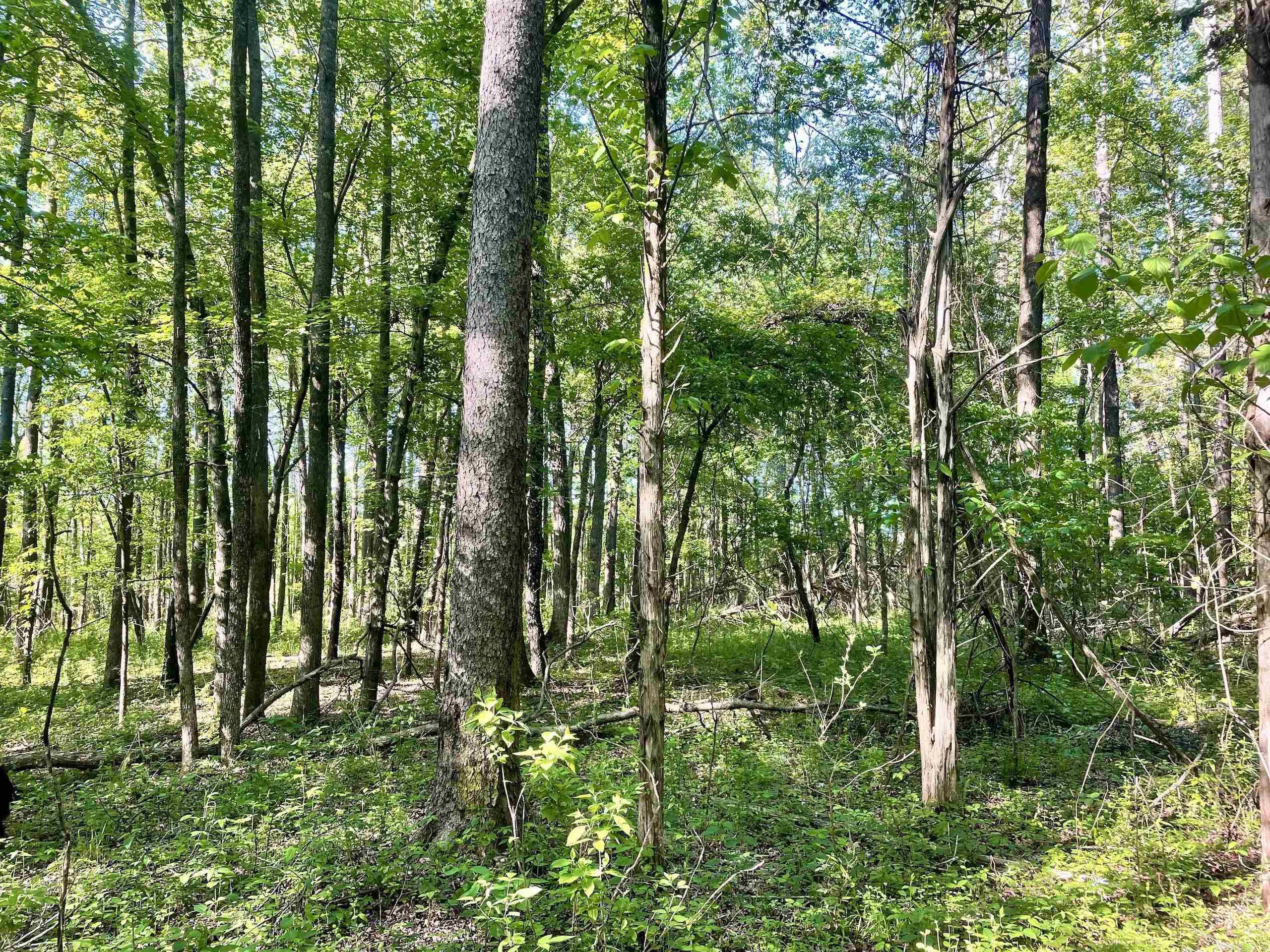 Not in Subdivision - Land