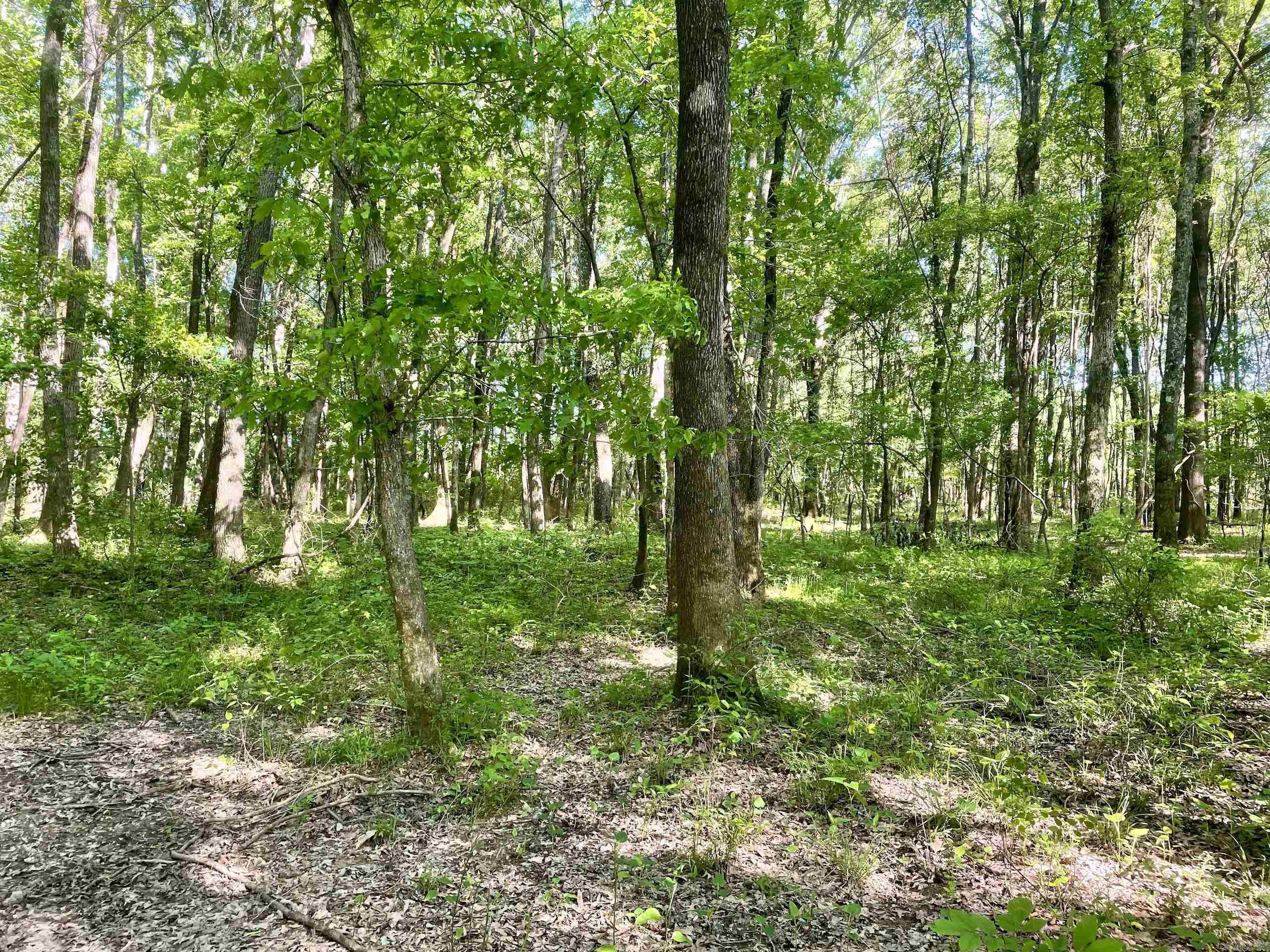 Not in Subdivision - Land