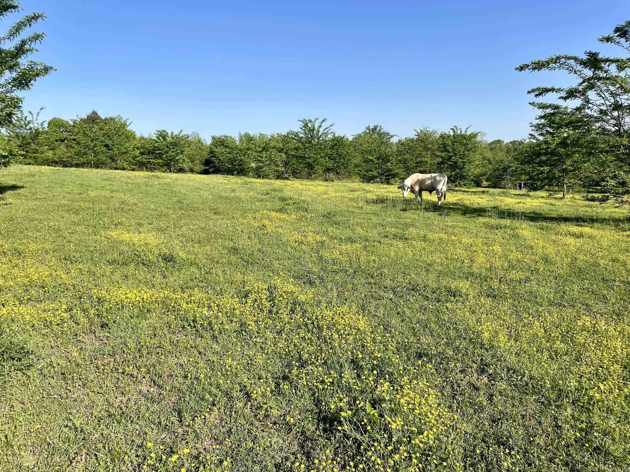 Not in Subdivision - Land