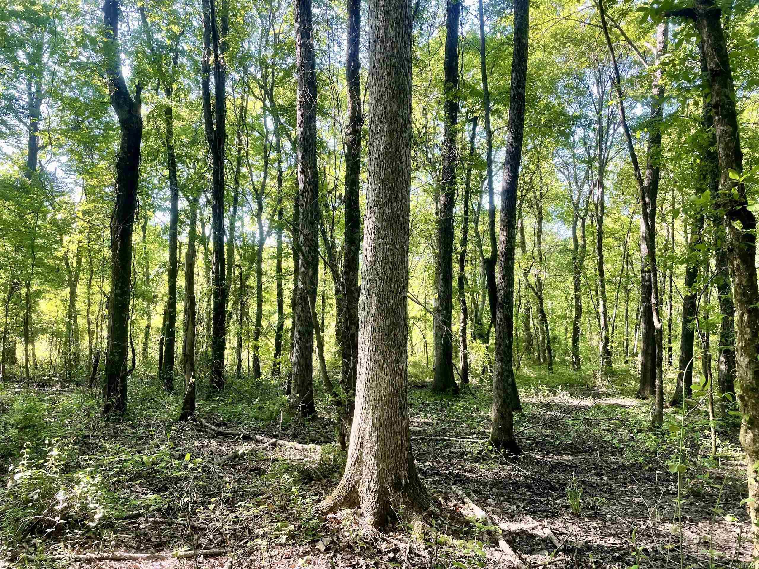 Not in Subdivision - Land