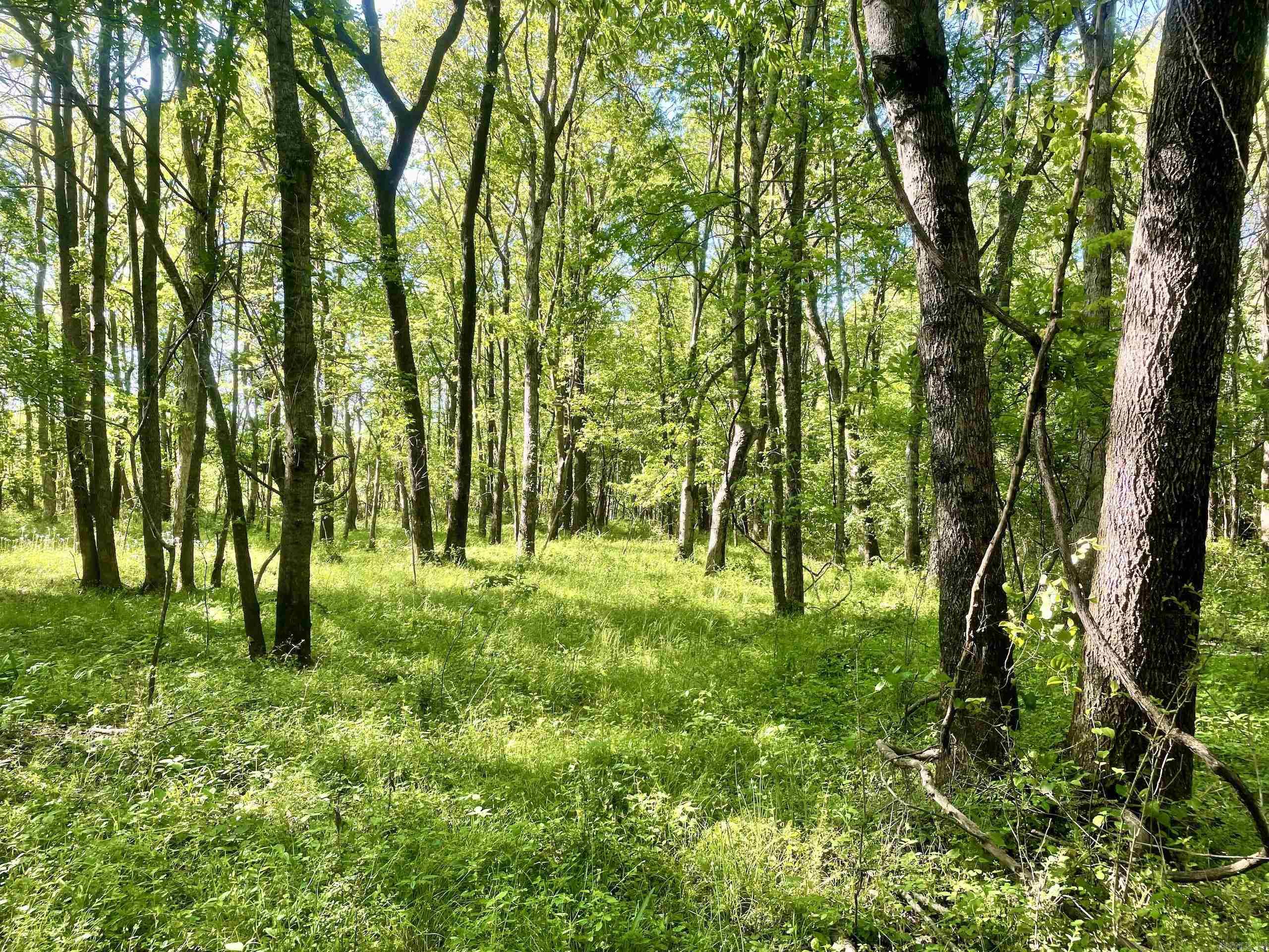 Not in Subdivision - Land