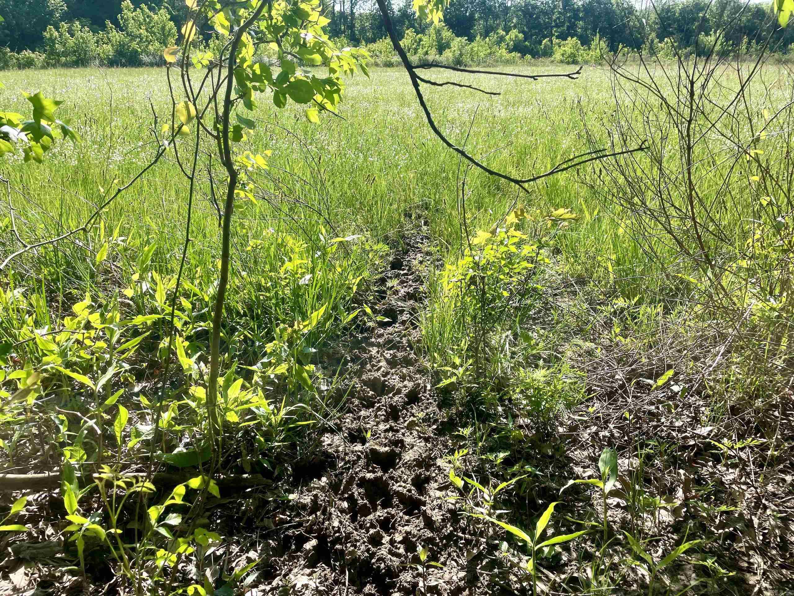 Not in Subdivision - Land