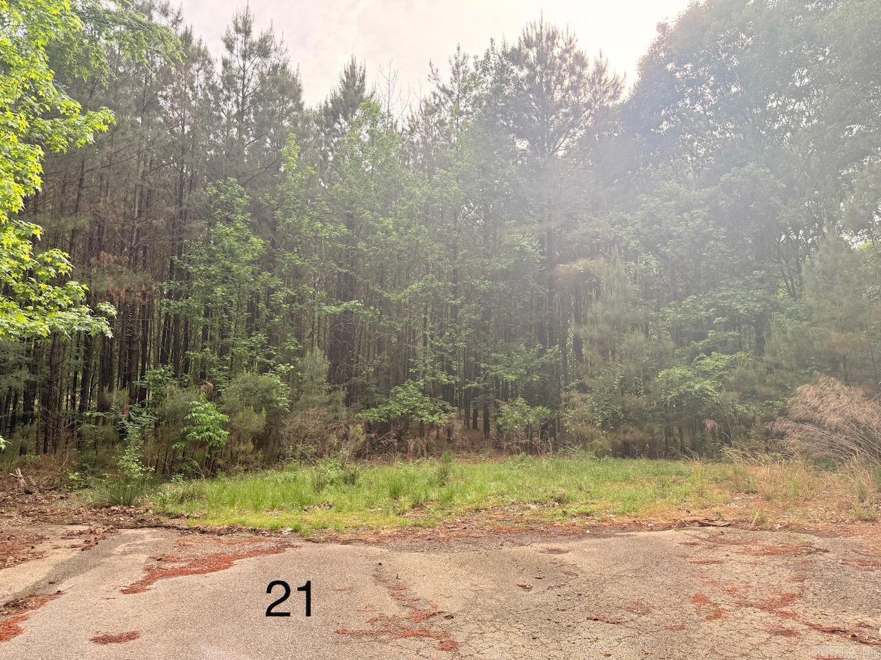 Discover the perfect spot to build your dream home in the desirable University Heights Subdivision! This .53-acre lot offers a serene setting in a quiet neighborhood, just minutes from the University of Arkansas at Monticello, local schools, hospitals, and shopping. With utilities readily available and a prime location, this lot is ideal for families, professionals, or investors. Priced to sell—don’t miss this opportunity to create your custom oasis in the heart of Monticello! Contact us today for details.