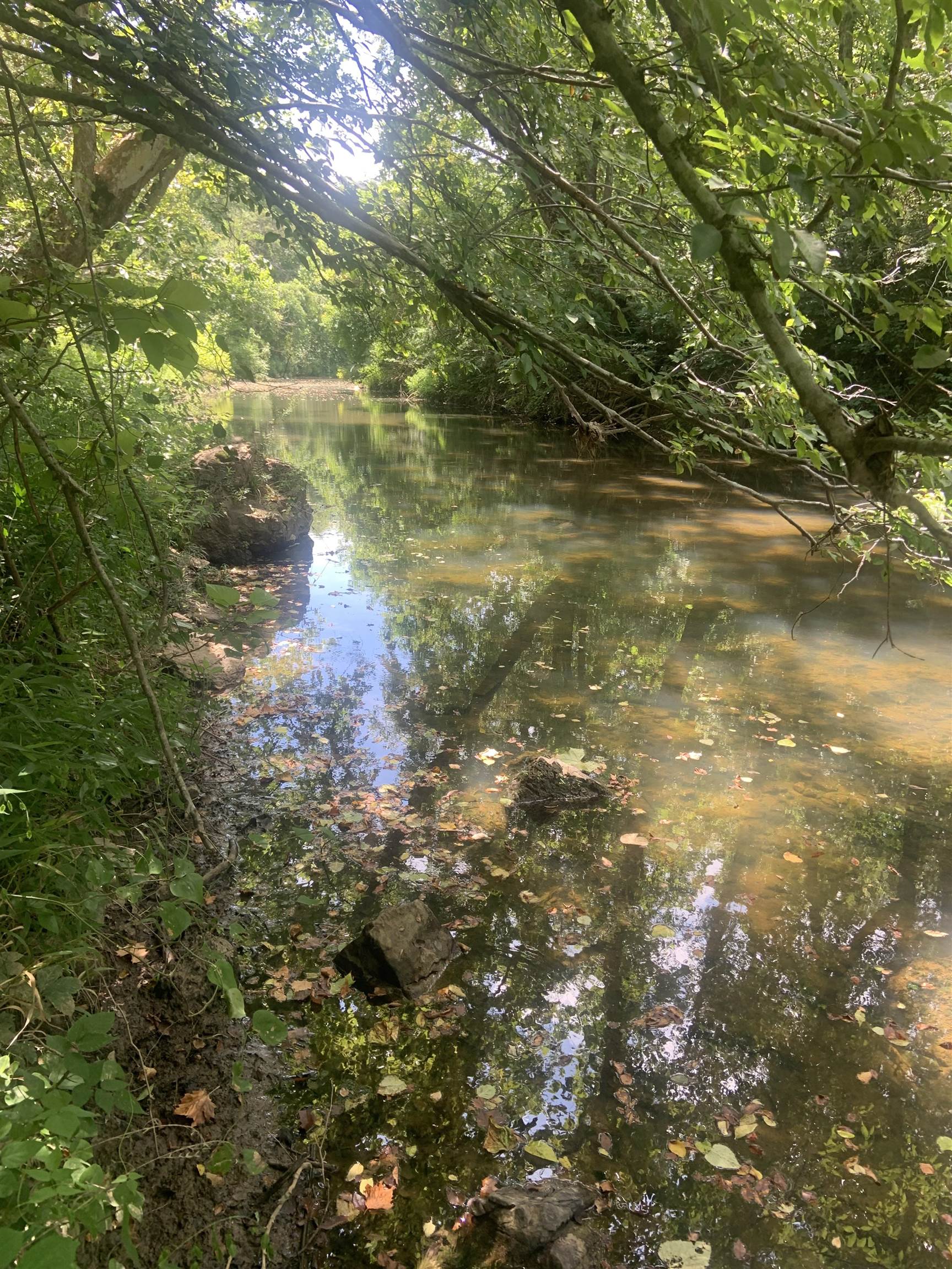 Metes & Bounds - Land