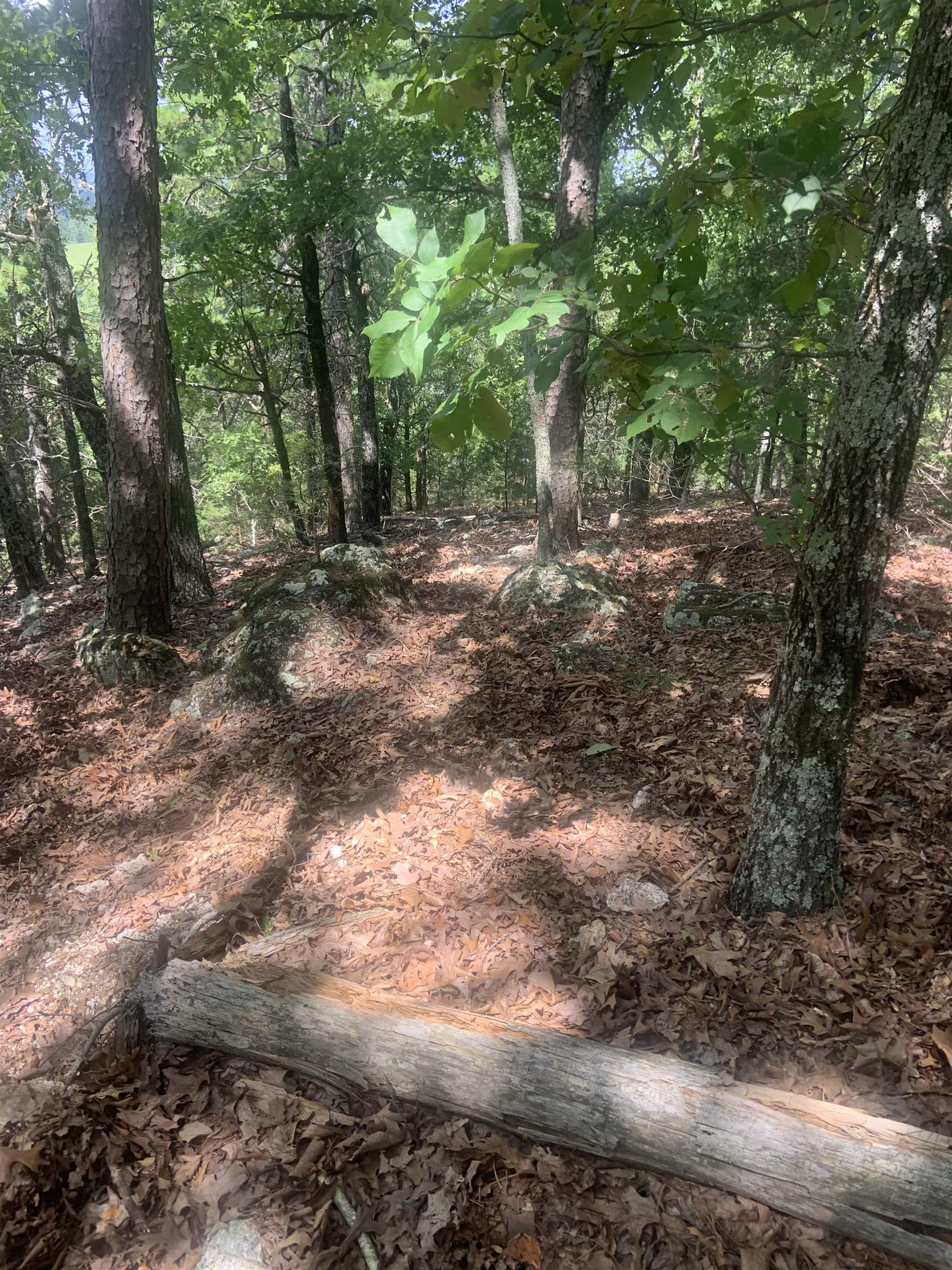 Metes & Bounds - Land