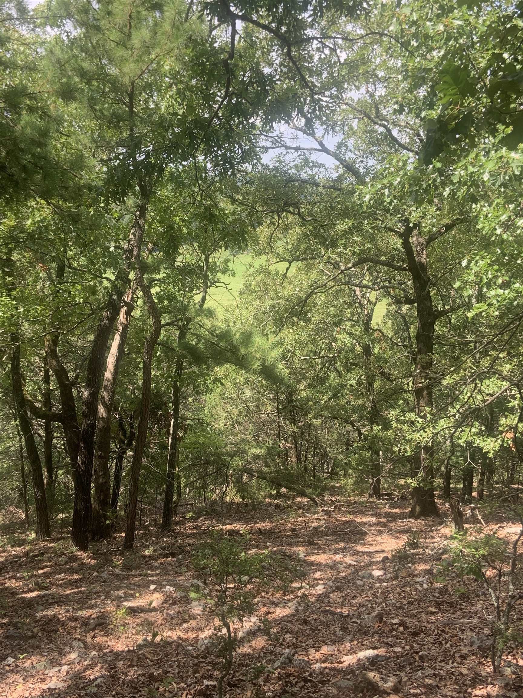 Metes & Bounds - Land