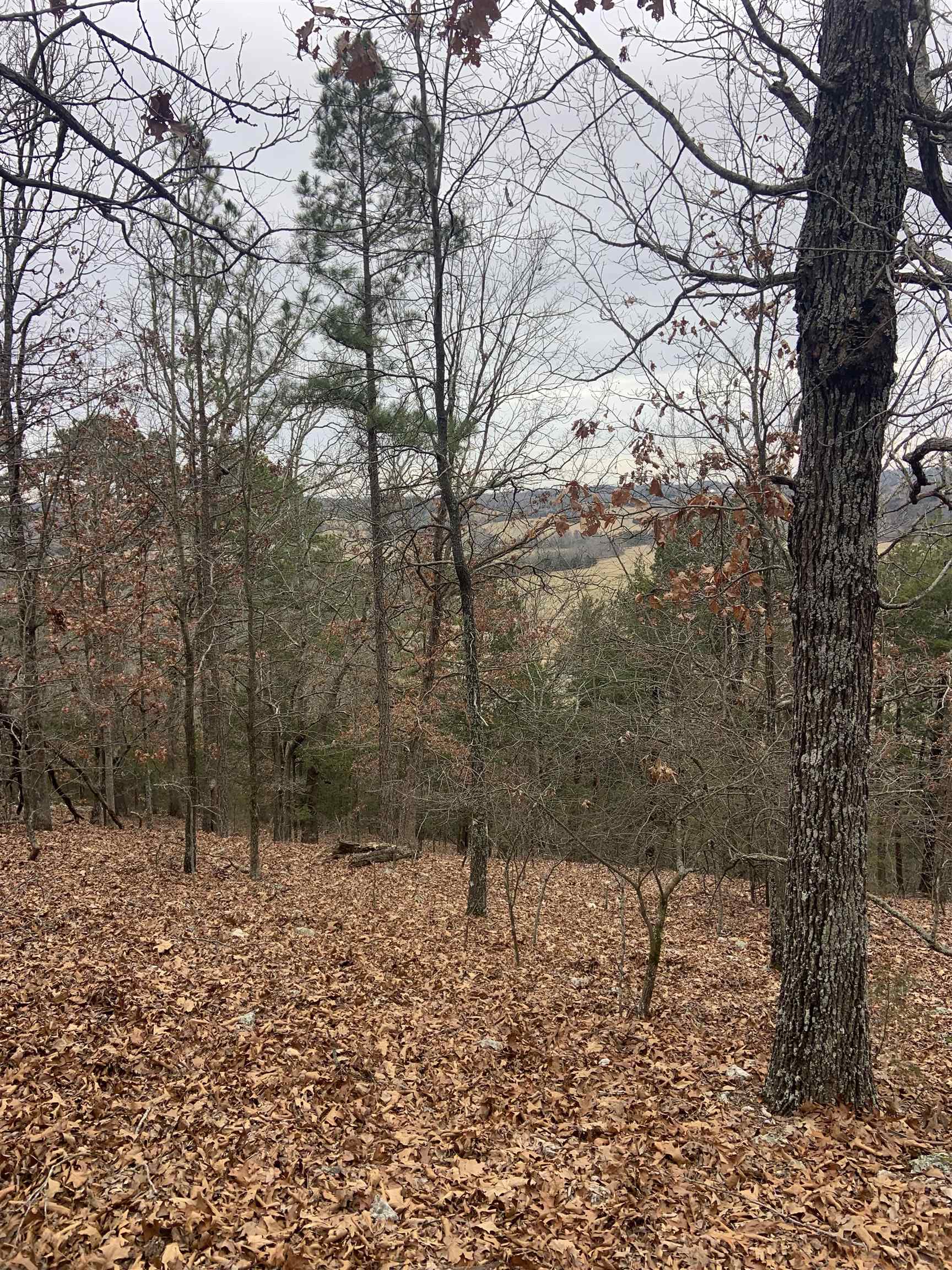 Metes & Bounds - Land