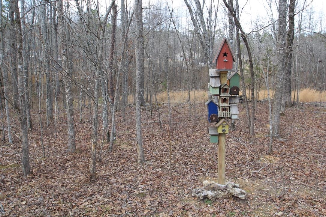 PINEWOOD ESTATES - Residential