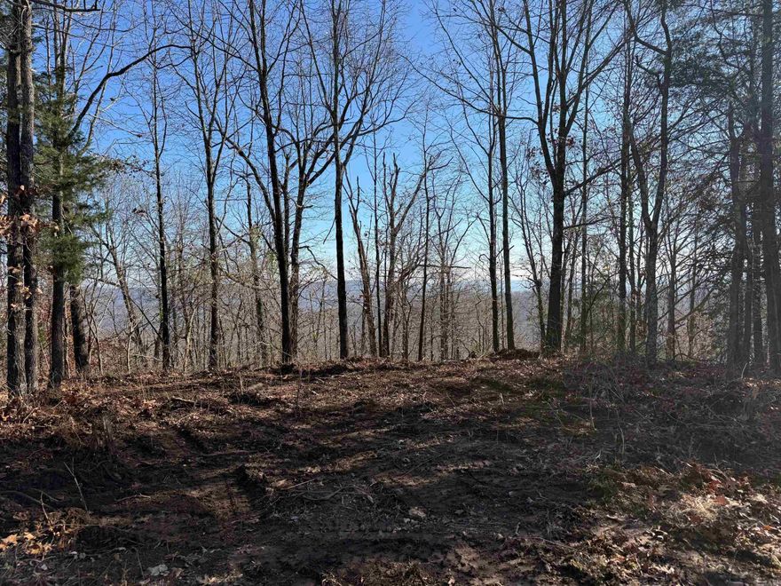 Tucked away in the heart of the Ozarks, this peaceful retreat is just 5 miles from the Mulberry River and the iconic Oark General Store. The property features a scenic building site with beautiful views, a roughed-in driveway, and a deer stand already in place. With 9.5 acres that join National Forest, this is an ideal setting for hunting, a cozy cabin, or a quiet getaway surrounded by nature and endless outdoor recreation.