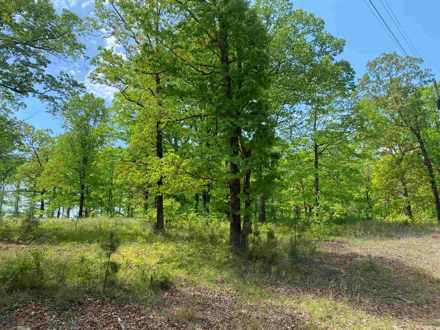 COUNTRY LIVING WITH PEACE AND TRANQUILITY!!!! Approximately 8.10 acres +/- located in a great location. Great place to build your dream Home with a Picture Perfect view.