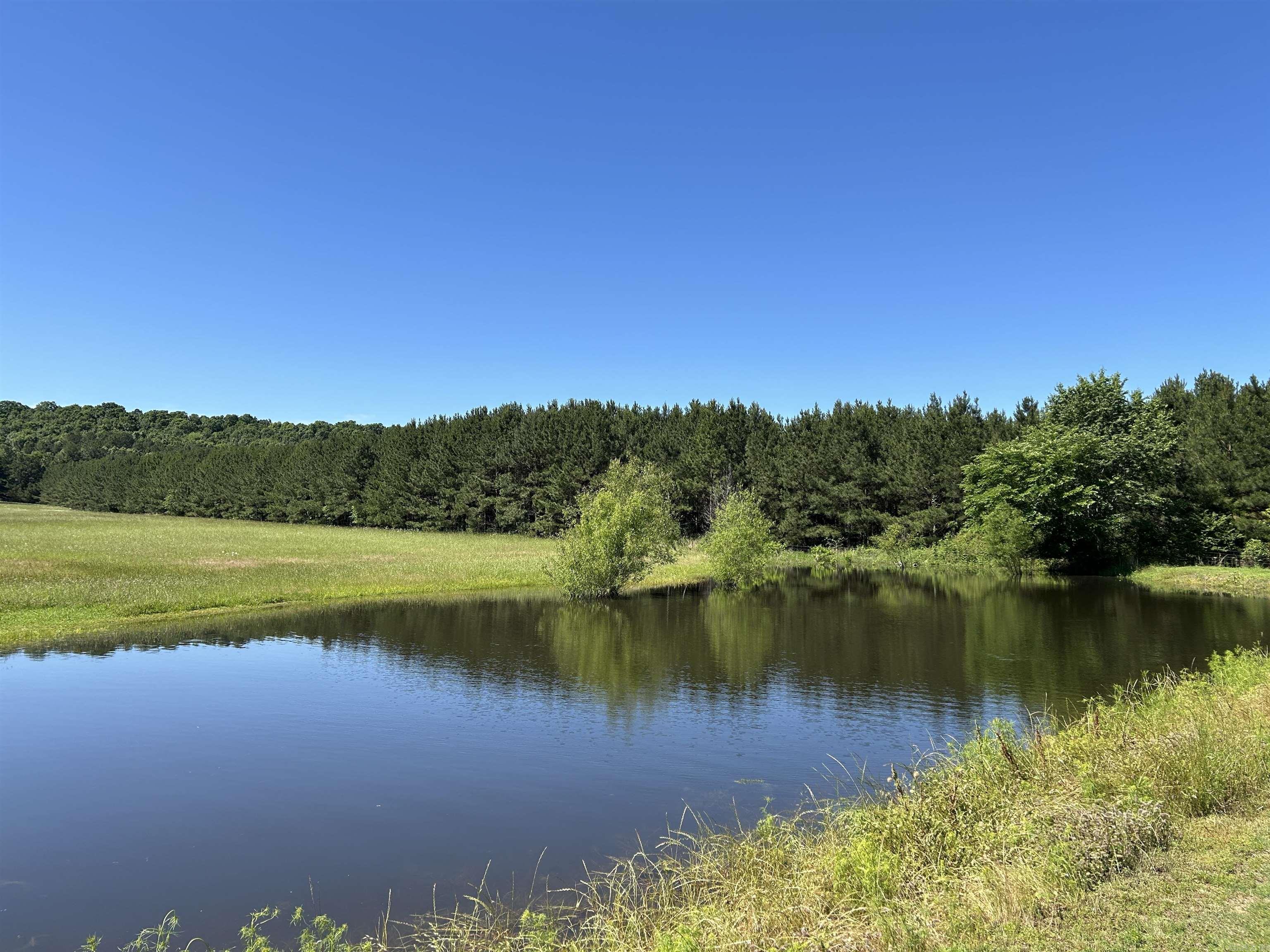 Just over 100 gorgeous acres right in "downtown" Romance, Arkansas! With approximately 35 acres of pine timber (ready for first cutting), 30 acres of pasture, and 35 acres of wooded ridge, you'll fall in love with the versatility of this idyllic slice of heaven! Great for hunting, farming, fishing, or just to have a place to retreat! The house is in good condition, though could use some cosmetic updates. House is 1,753 sq ft.