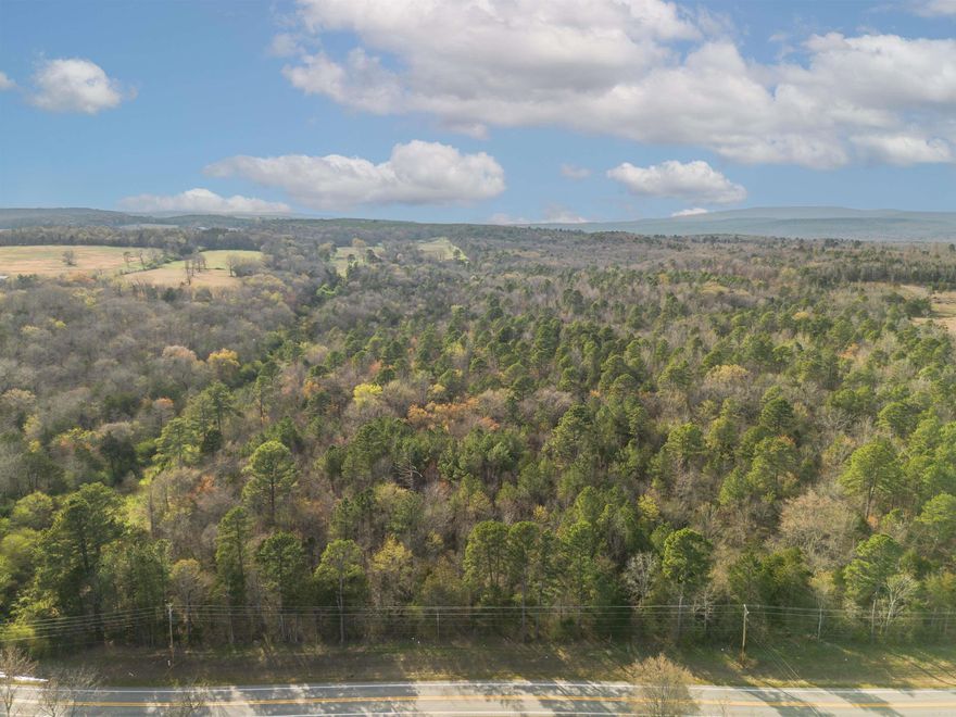 Located just south of Cleveland, this 25± acre tract is densely timbered, with rolling hills creating varied terrain. A creek and pond provide water and natural wildlife corridors, making the property ideal for hunting. Frontage on Highway 95 ensures convenient access, while proximity to the Cherokee Wildlife Management Area opens opportunities across thousands of acres for outdoor recreation. Mineral rights convey with the property, a rare and valuable feature. An adjoining 40± acres is available for separate purchase.