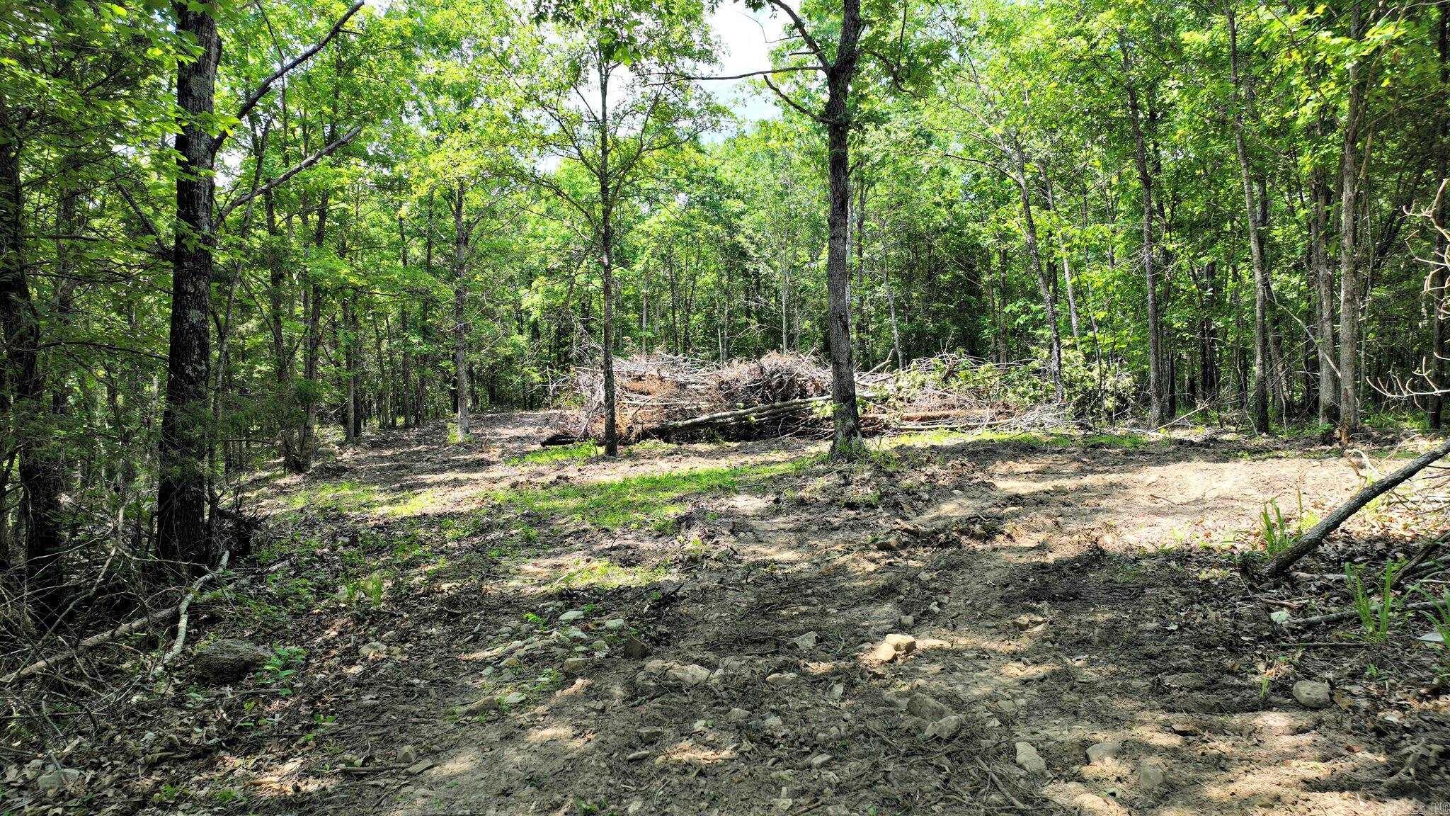 Alder Springs-Rocky - Land