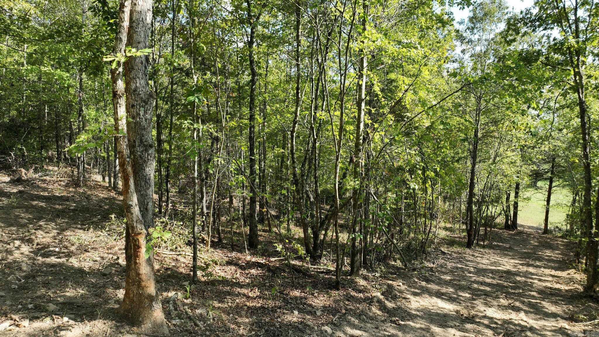 Alder Springs-Rocky - Land