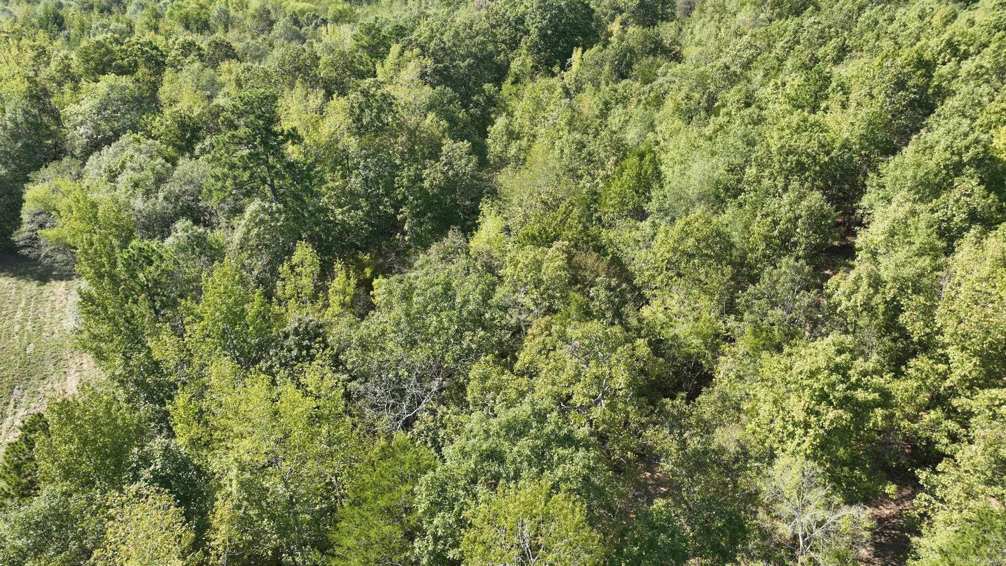 Alder Springs-Rocky - Land