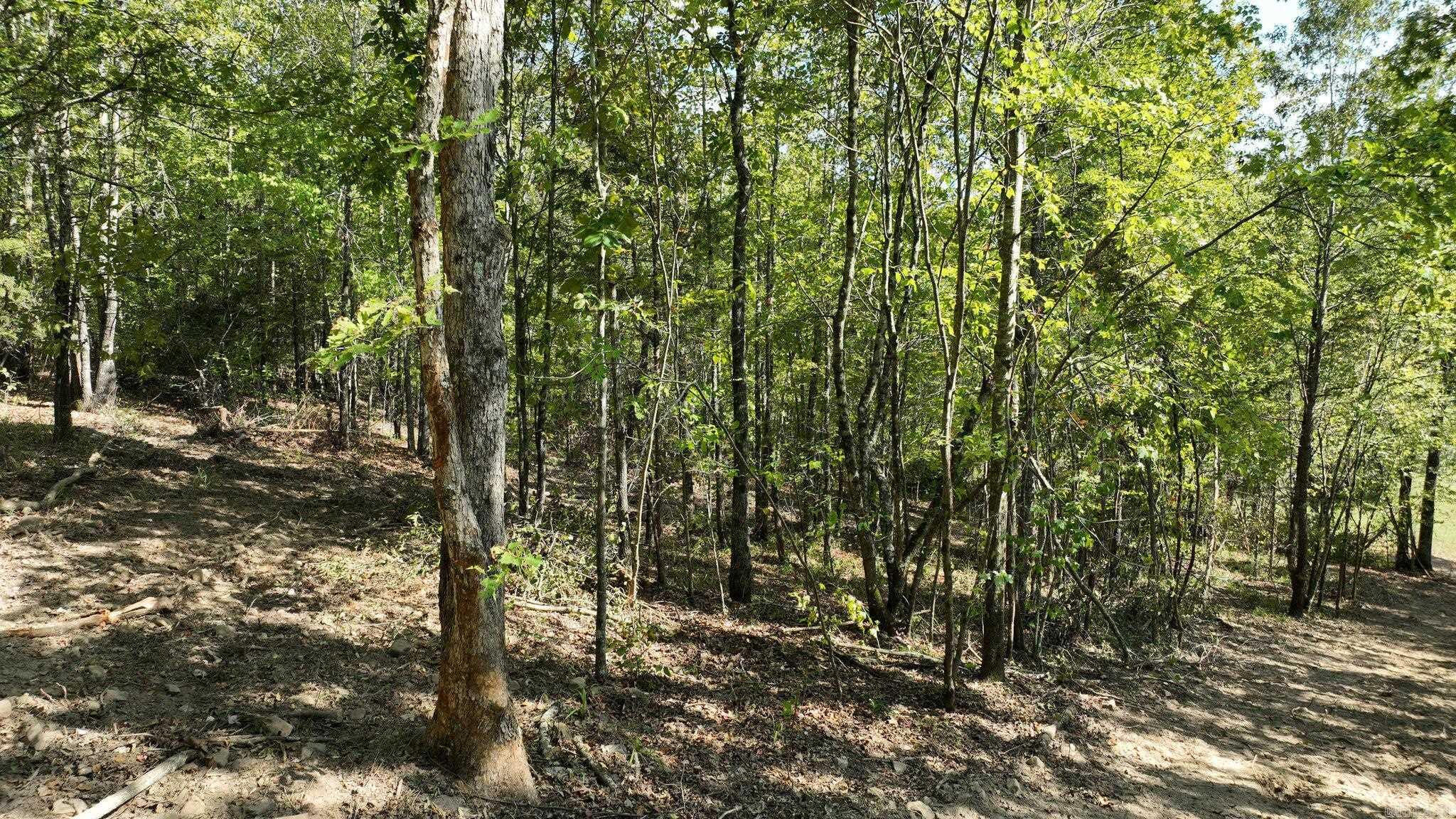 Alder Springs-Rocky - Land