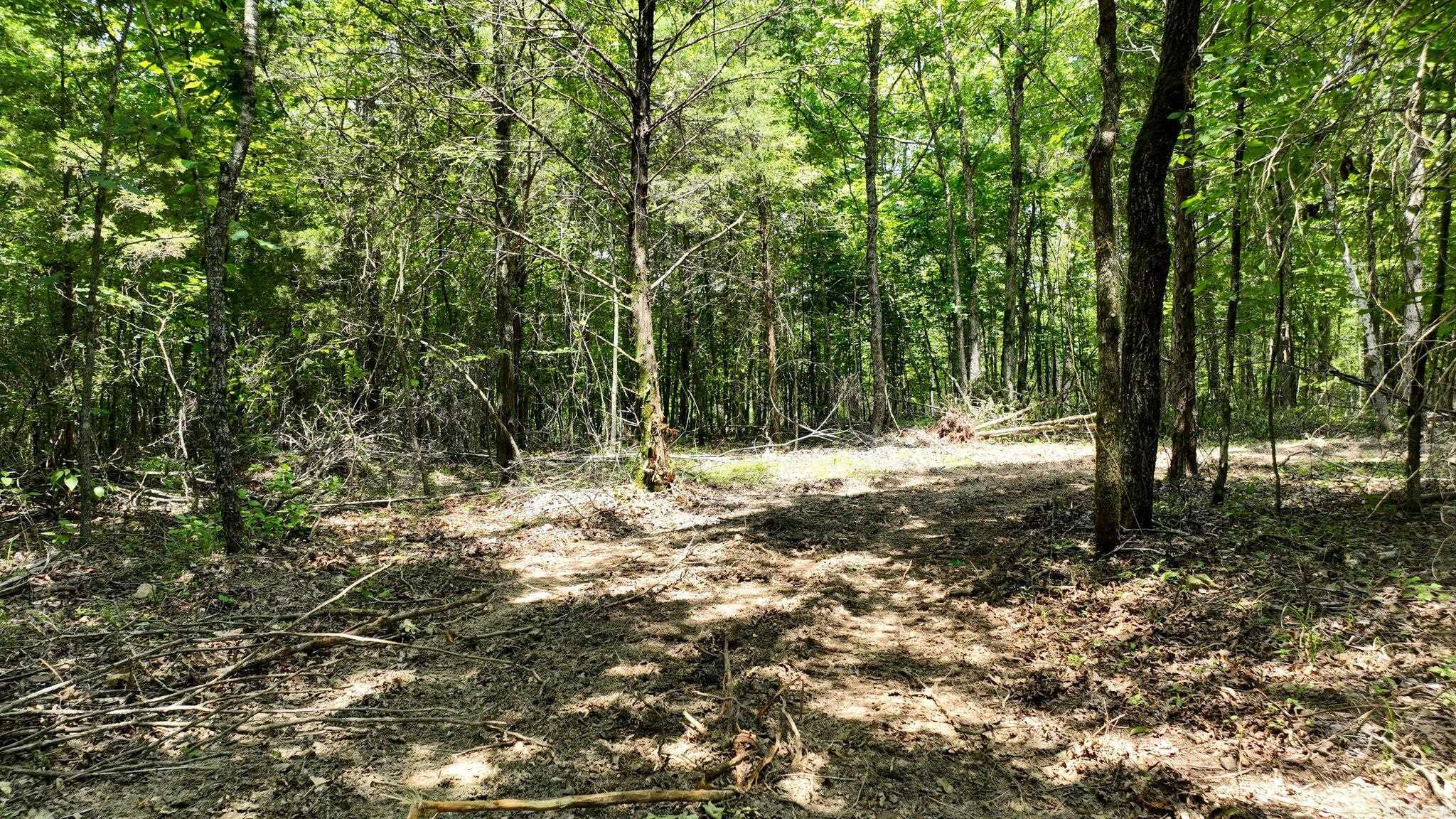 Alder Springs-Rocky - Land