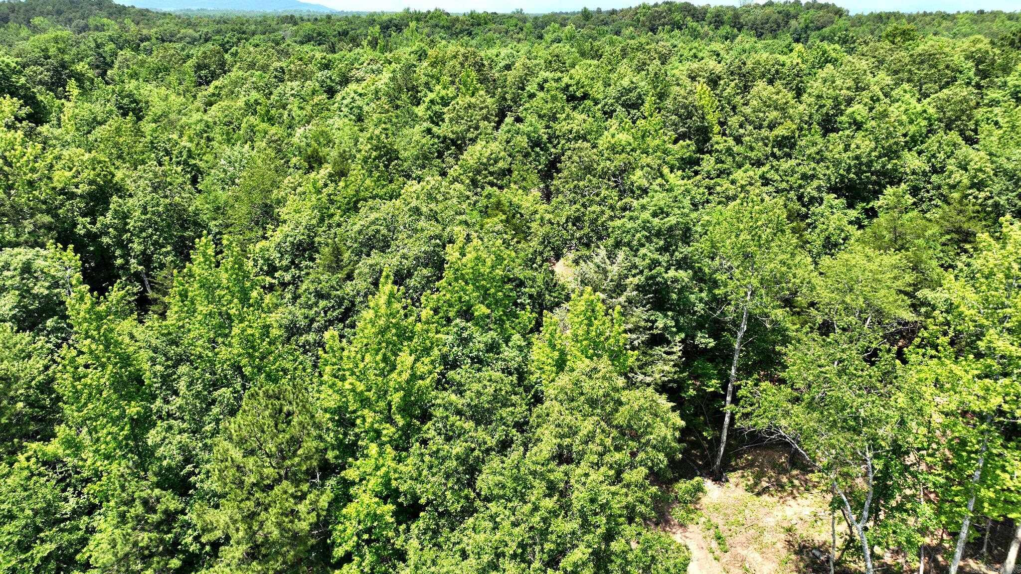 Alder Springs-Rocky - Land