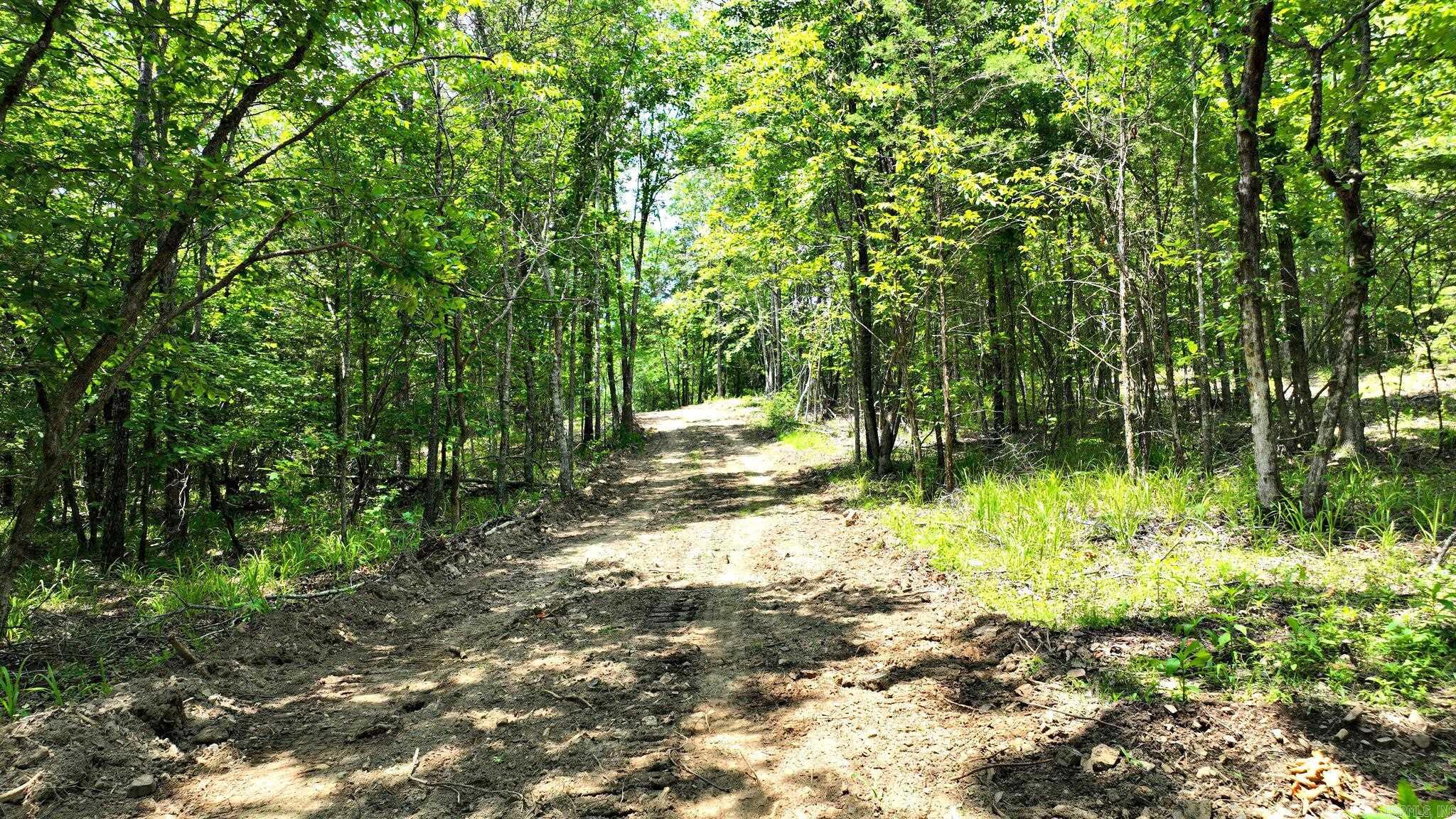 Alder Springs-Rocky - Land