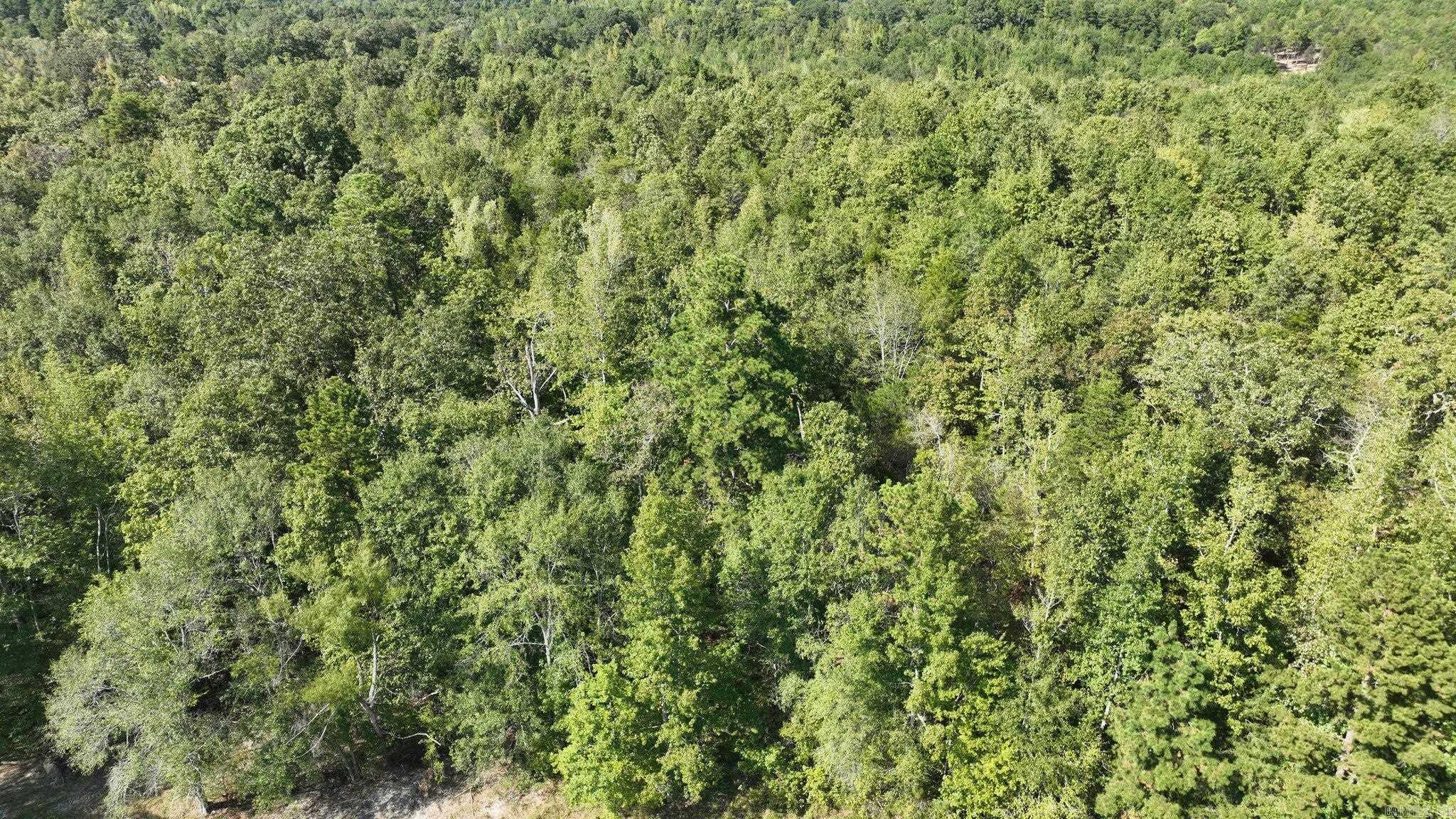 Alder Springs-Rocky - Land