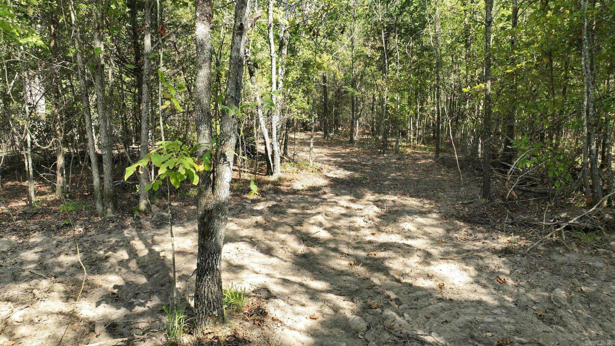 Alder Springs-Rocky - Land