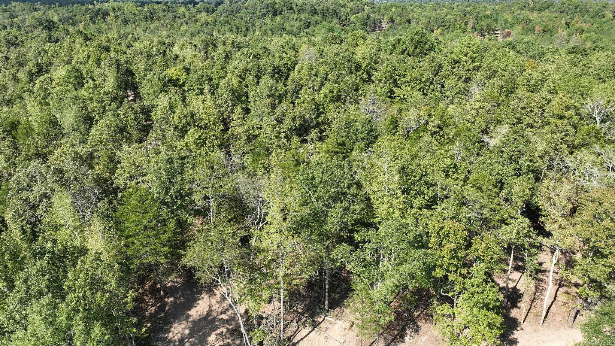 Alder Springs-Rocky - Land