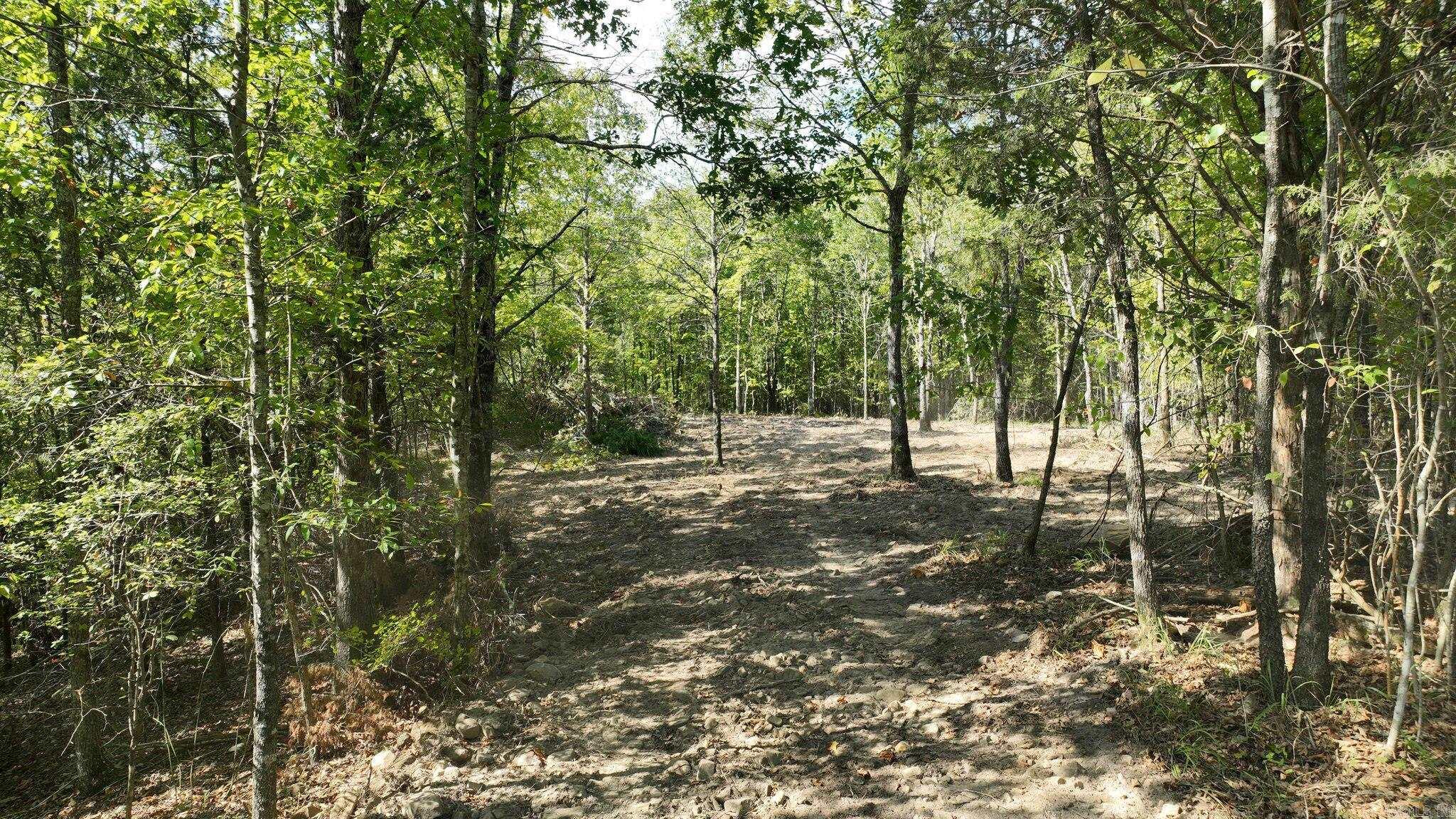 Alder Springs-Rocky - Land