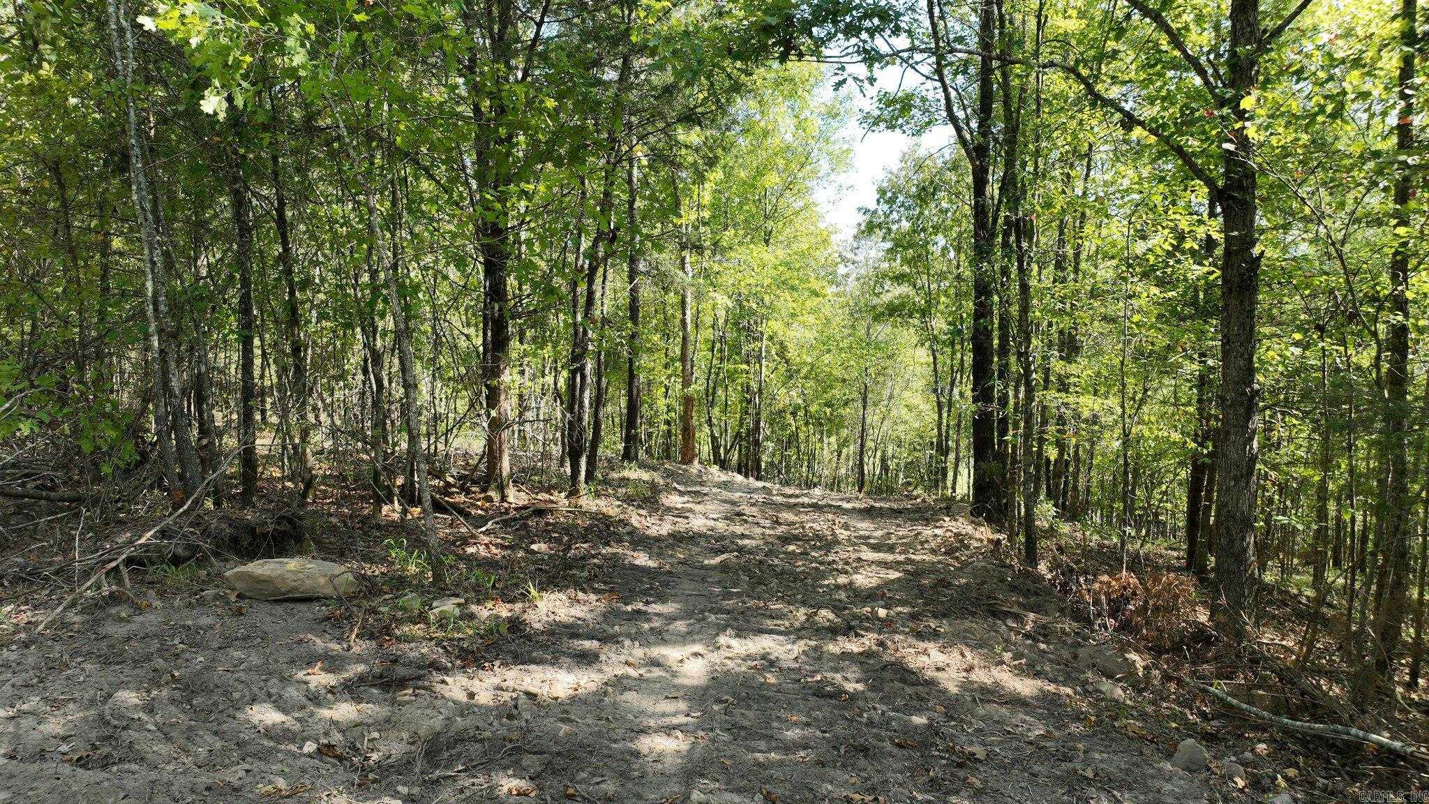 Alder Springs-Rocky - Land