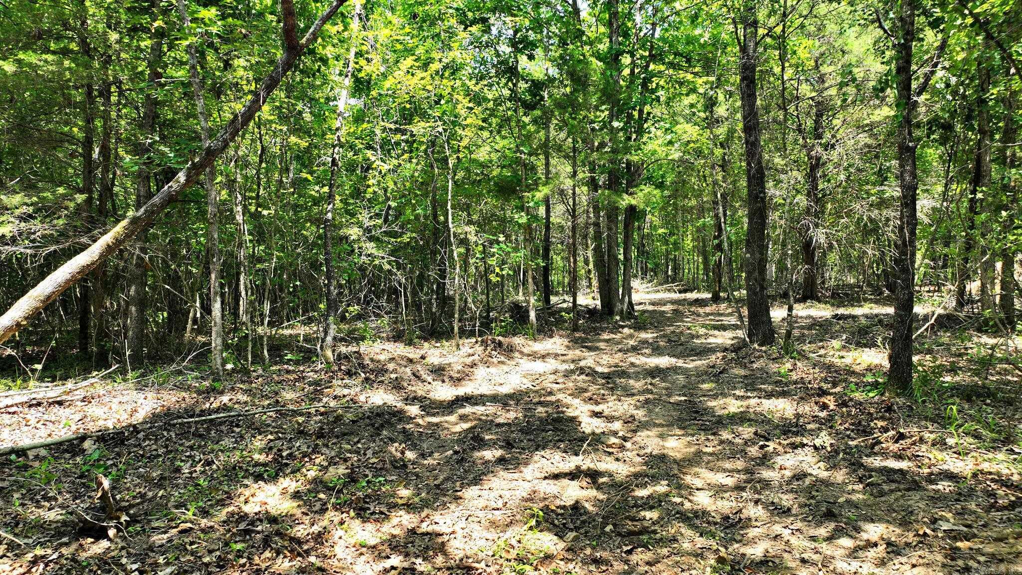 Alder Springs-Rocky - Land