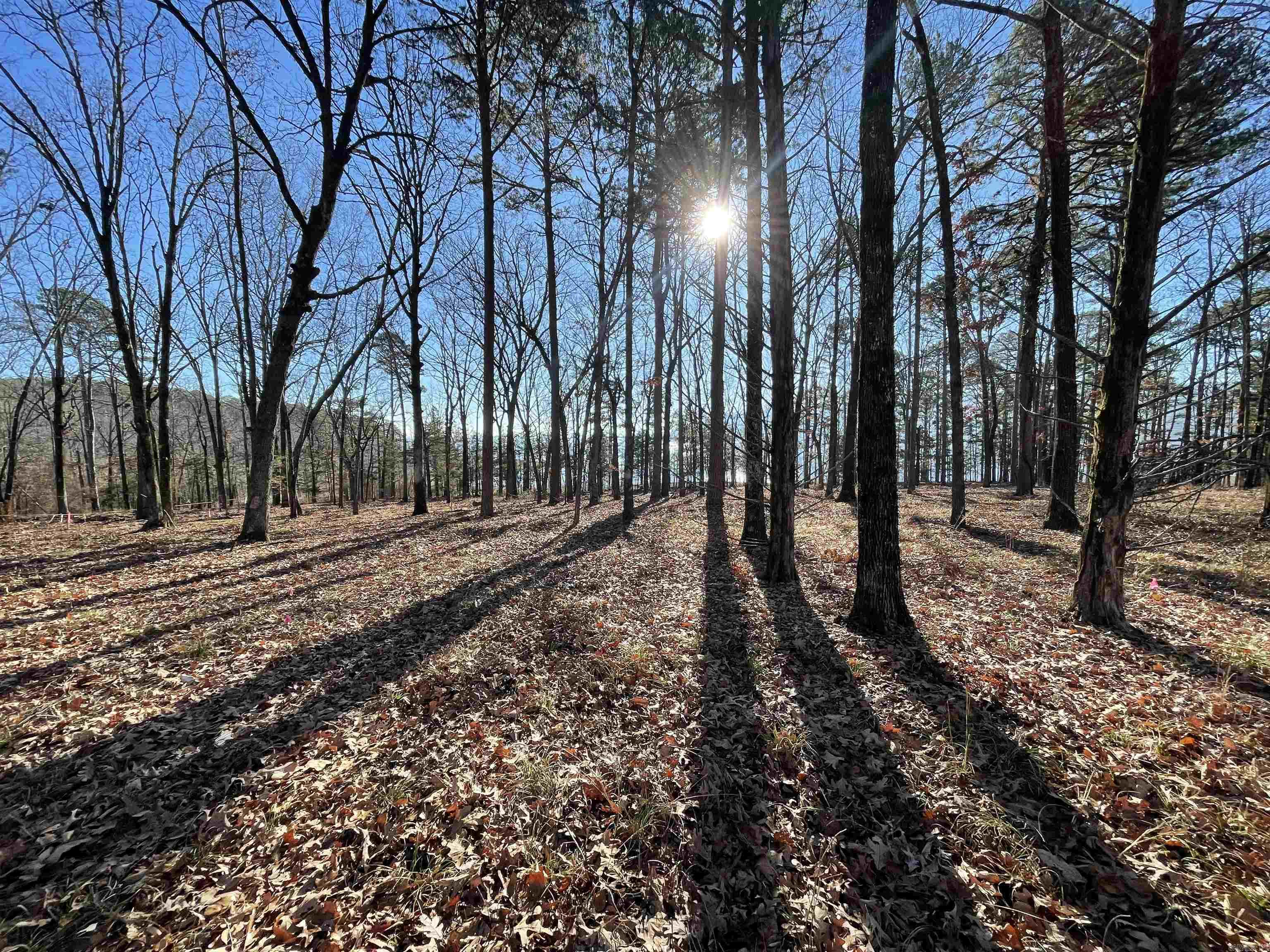 SHILOH LANDING - Land