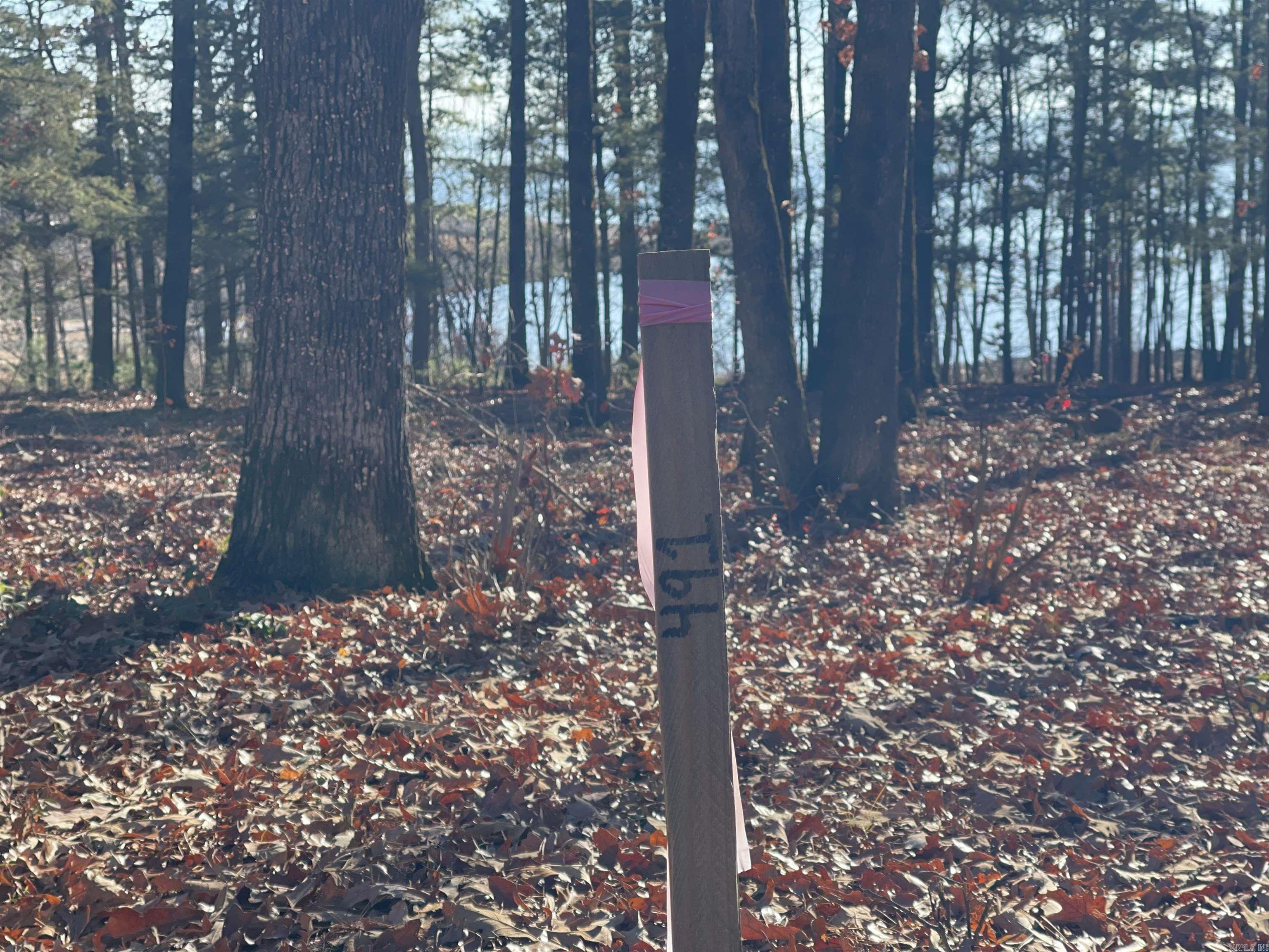 SHILOH LANDING - Land