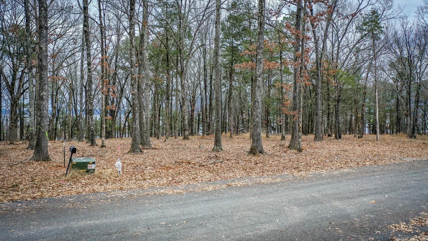 SHILOH LANDING - Land