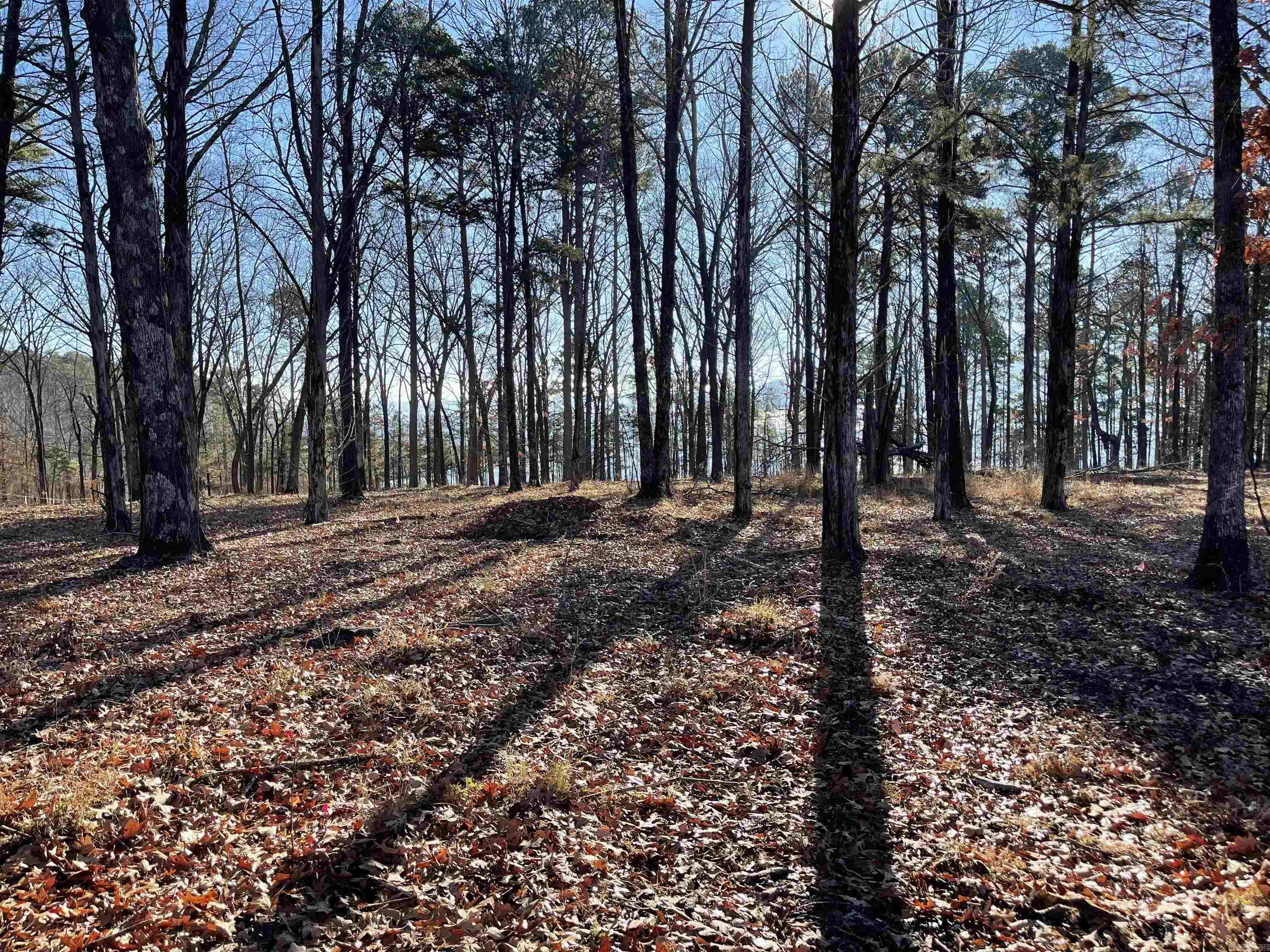 SHILOH LANDING - Land