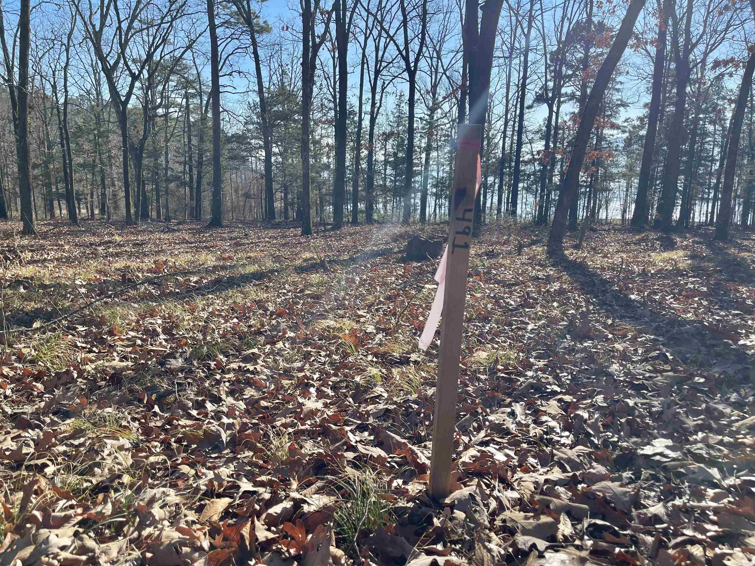 SHILOH LANDING - Land