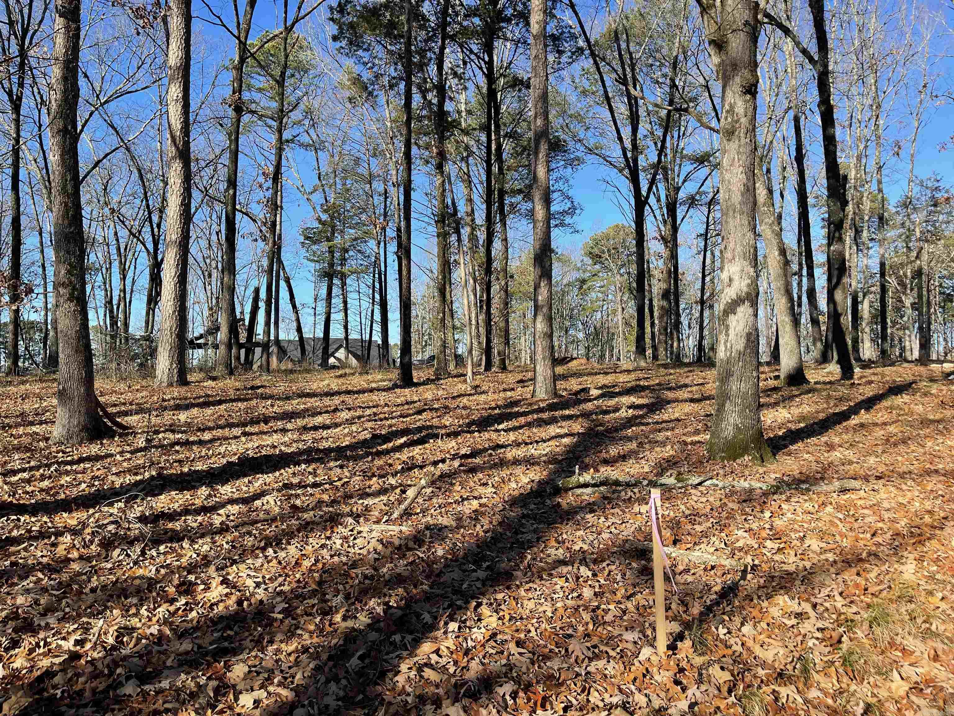 SHILOH LANDING - Land