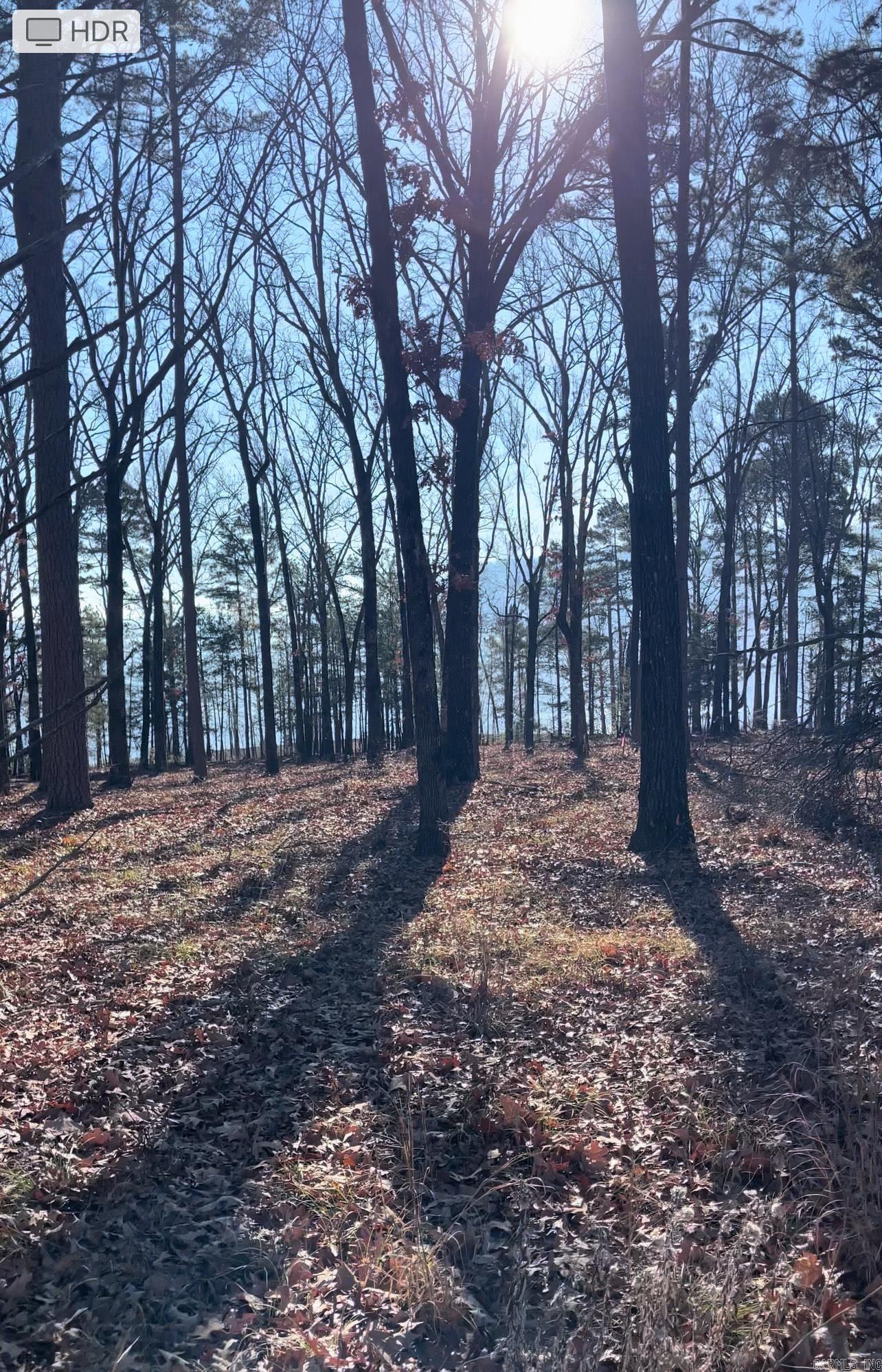 SHILOH LANDING - Land